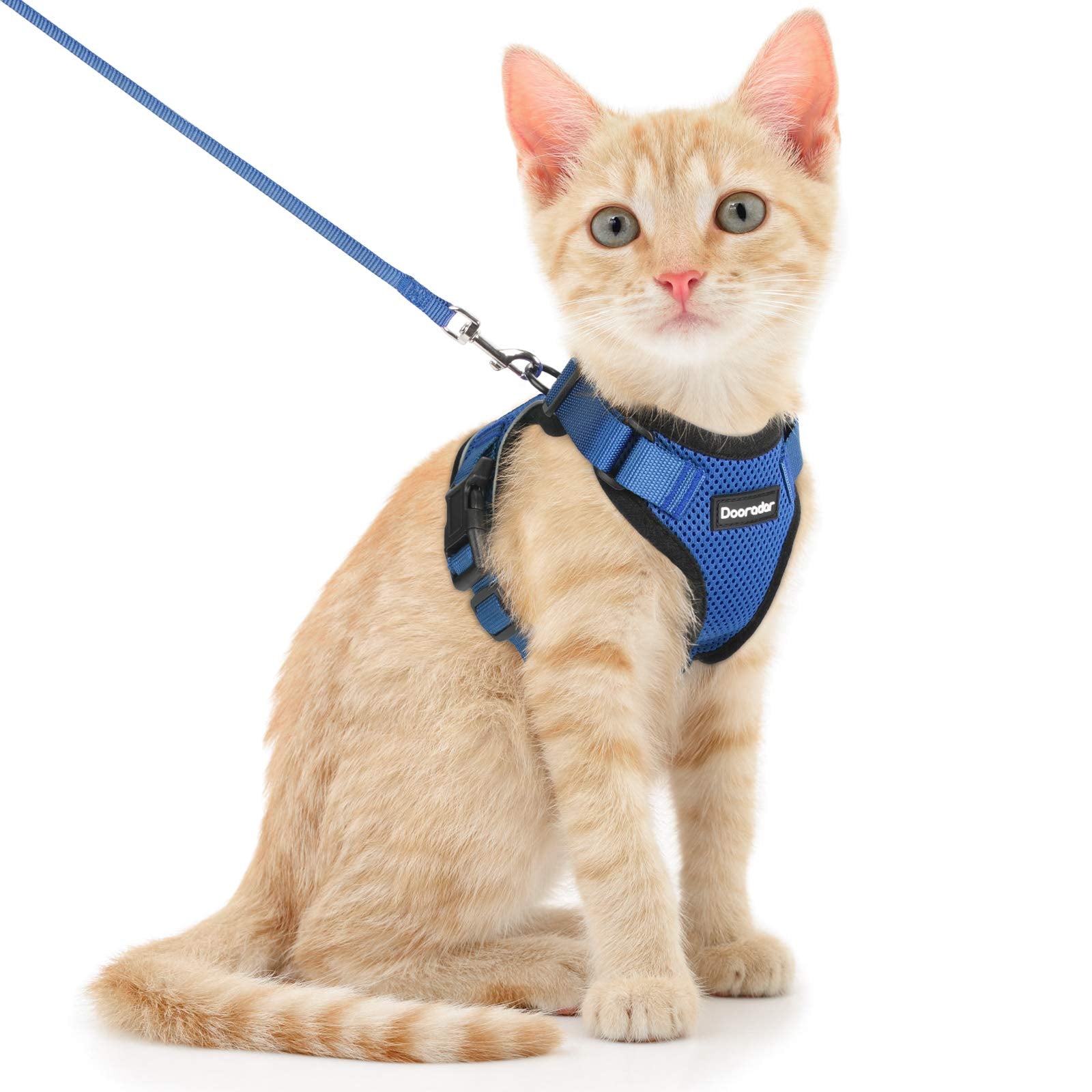 Dooradar Cat Harness And Leash Set, Escape Proof Safe Adjustable Kitten Vest Harnesses For Walking, Easy Control Soft Breathable Mesh Jacket With Reflective Strips For Cats, Blue, S
