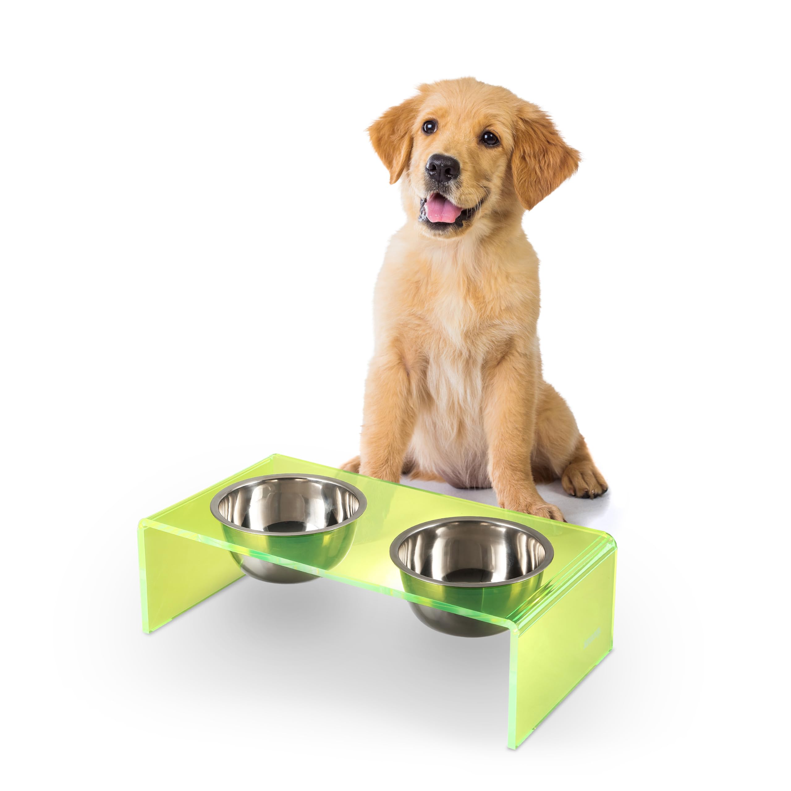 The LICKER Store DBL2000G Keaton 5 Small/Medium Modern Acrylic Rectangular Elevated Pet Feeder with 20oz 2-Stainless Steel Bowls