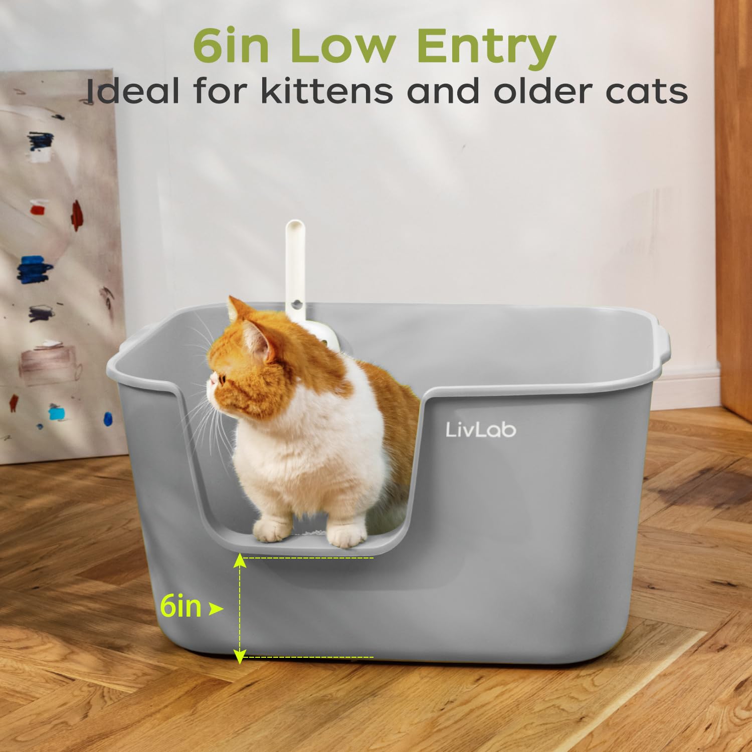 LivLab Mker Extra Large Cat Litter Box - 25 Lx16 Wx13 H Open Top High Sided Pan, XL for Big Cats, high Wall Jumbo Litter Box, An