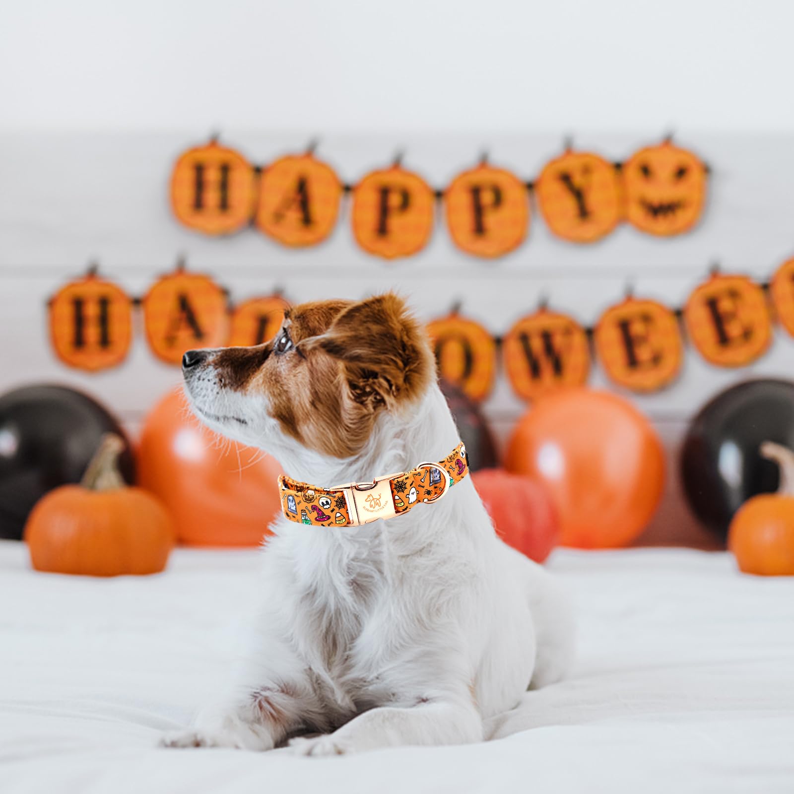 Elegant Little Tail Halloween Dog Collar - Pumpkin Print, Cotton With Metal Buckle, Adjustable For X-Large Dogs