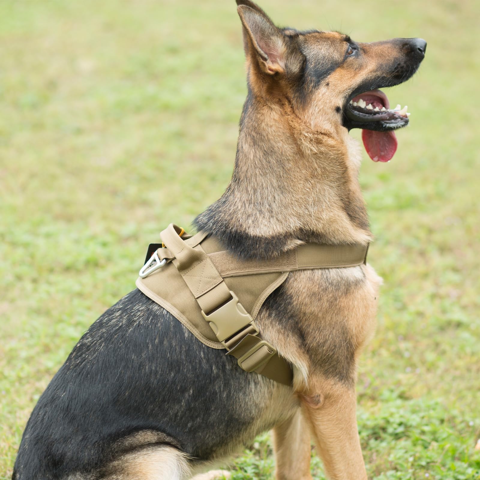 Excellent Elite Spanker Tactical Dog Harness Military Patrol Harness No-Pull Service Dog Vest Military Dog Vest Adjustable Training Working Dog Vest With Handle For Medium Large Dogs(Grey-Xs)