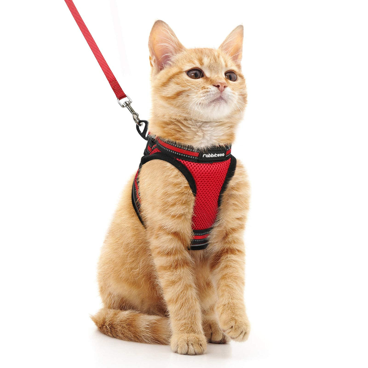 Rabbitgoo Cat Harness And Leash Set For Walking Escape Proof, Adjustable Soft Kittens Vest With Reflective Strip For Cats, Comfortable Outdoor Vest, Red, M