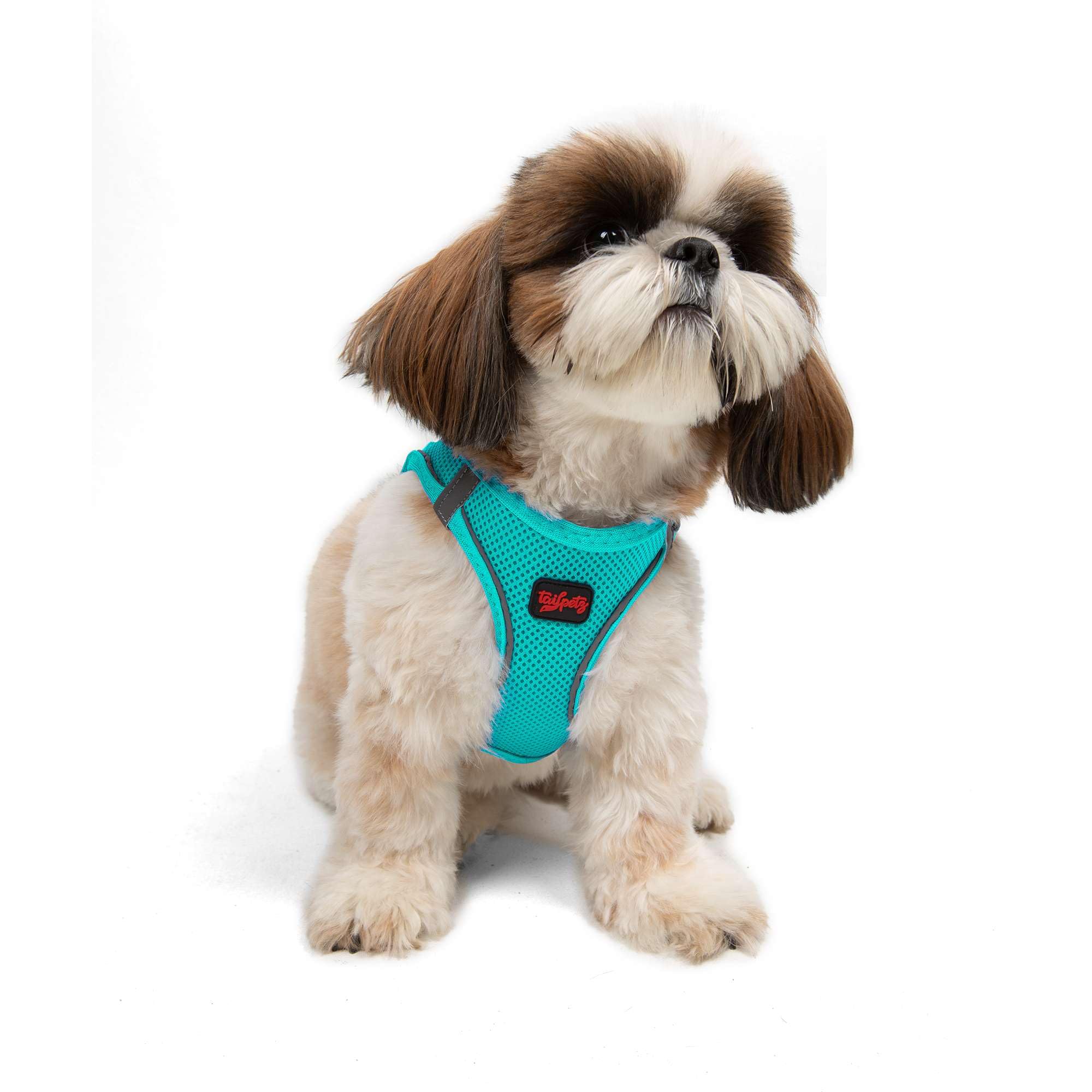 Tailpetz Light Blue Dog Harness Small Sized Dogs, Adjustable No Pull Step in Harness for Small Dog, Reflective Puppy Harness for