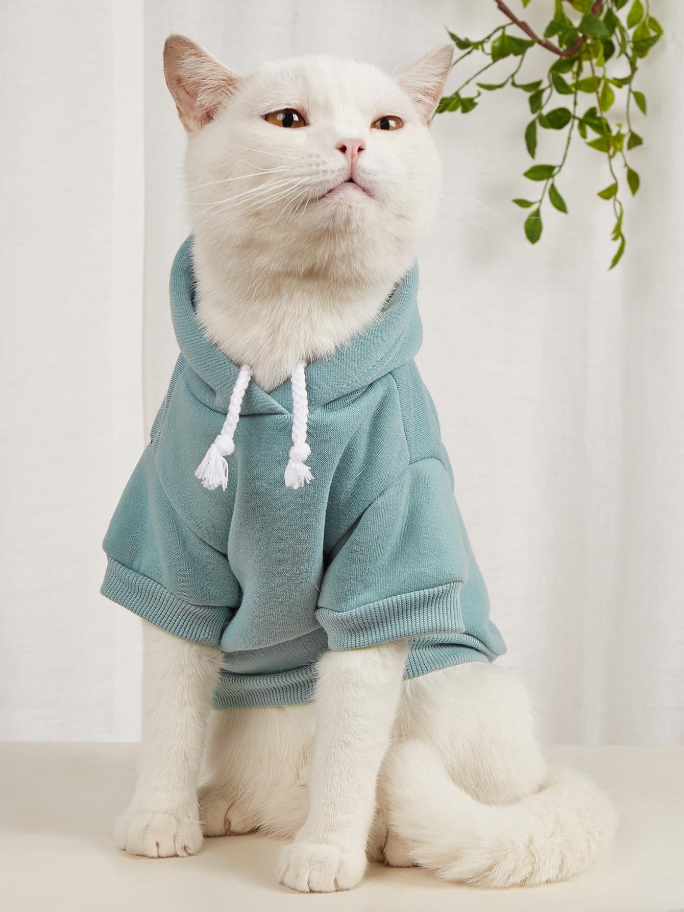 Qwinee 2Pcs Basic Dog Hoodie & Jacket, Cat Apparel, Shirt & Clothes For Puppy & Kitten, Small & Medium Dogs & Cats, Pink & Green