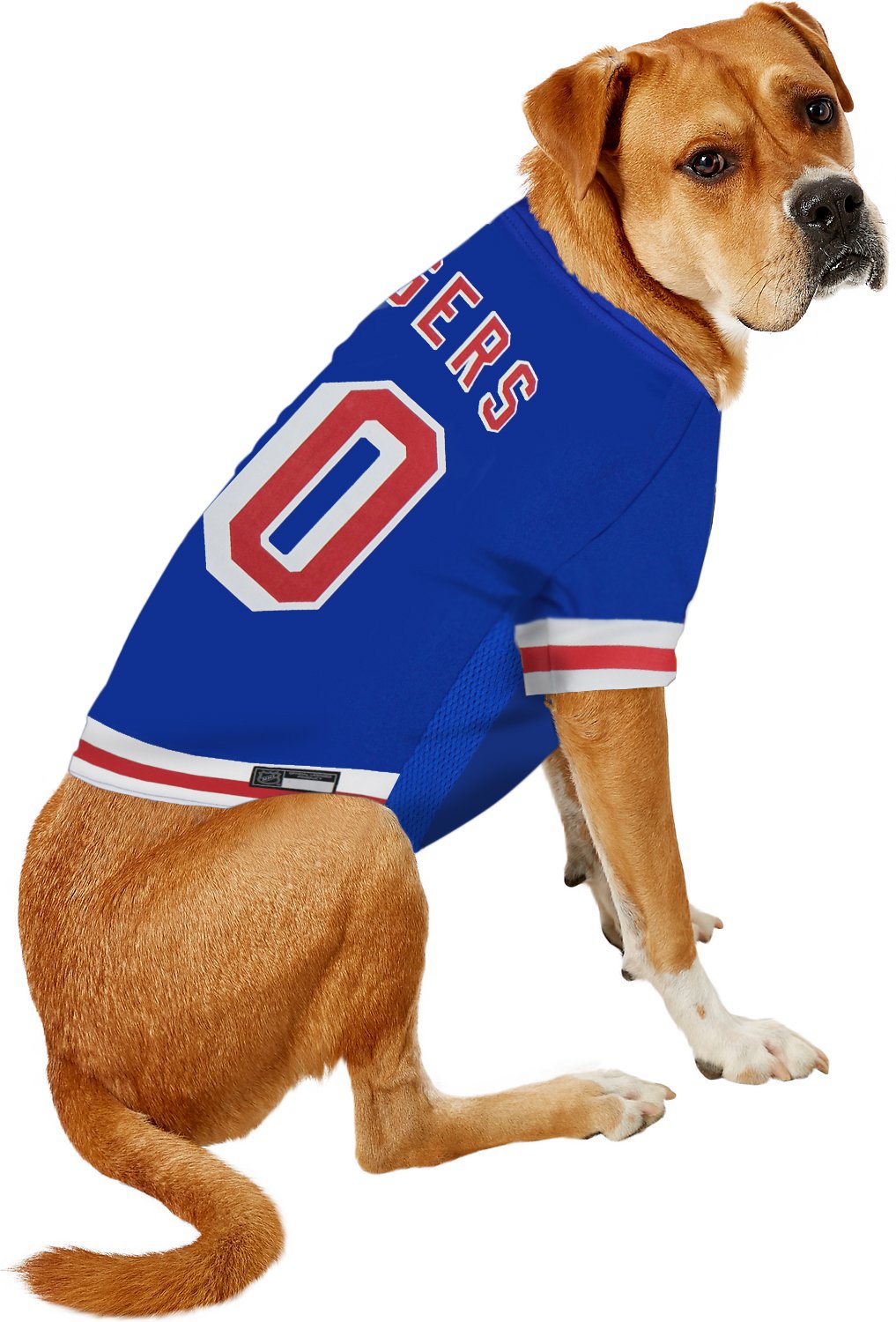 Pets First NHL New York Rangers Jersey for Dogs & Cats, X-Small. - Let Your Pet Be A Real NHL Fan!