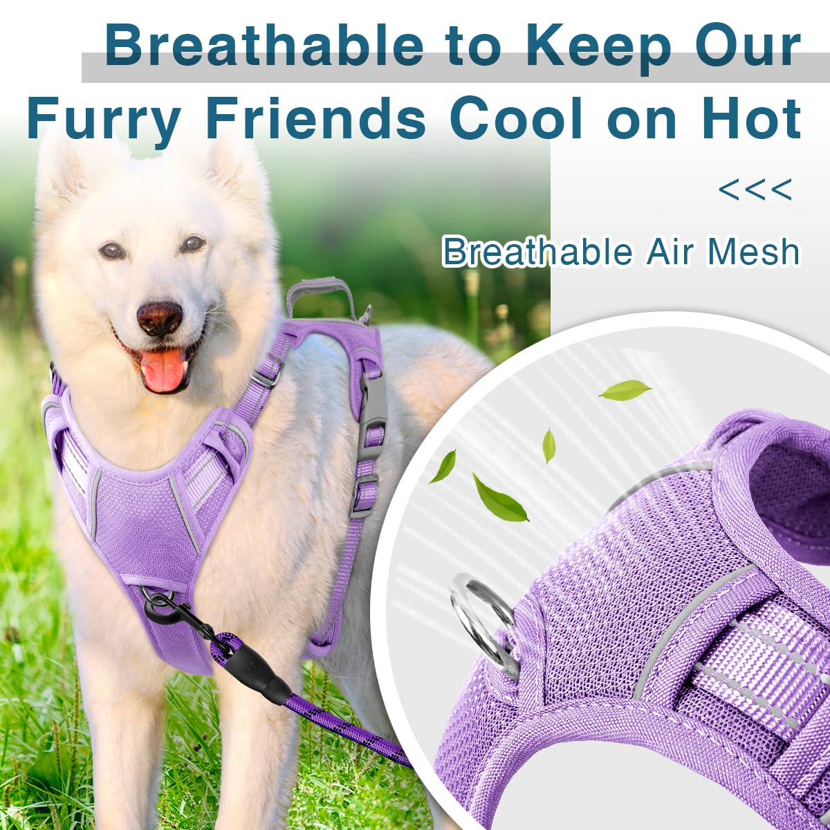 Barkbay Dog Harness No Pull With Id Tag Pocket - Heavy Duty, Reflective, Easy Control For Large Dogs (Violet Purple,S)