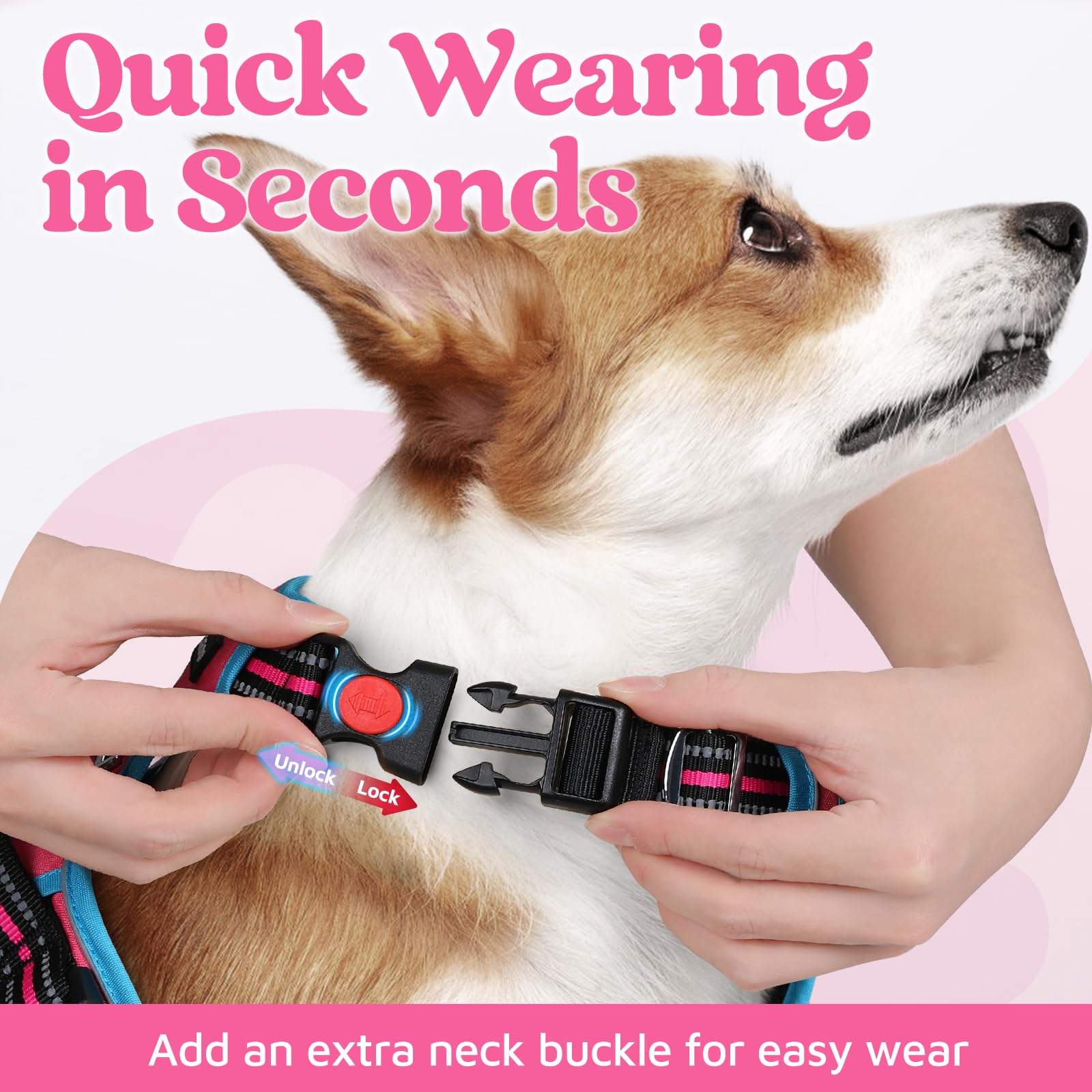 Rabbitgoo Dog Harness Small Sized, No Pull Dog Vest With 3 Buckles, Adjustable Soft Padded Pet Harness With Easy Control Handle