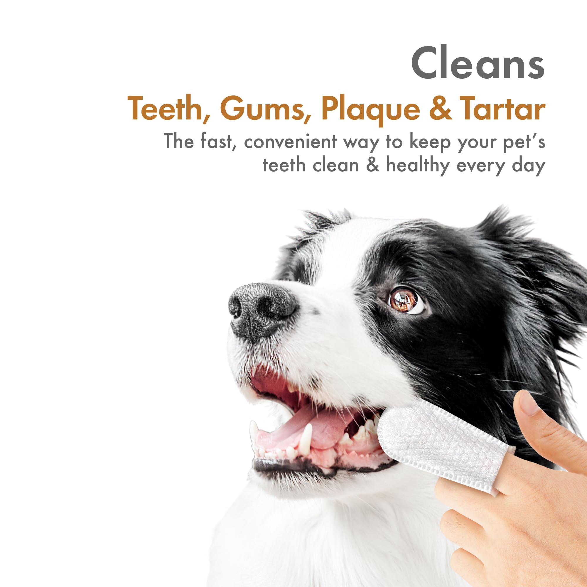 Petkin Fingertip Tooth Wipes for Dogs and Cats, 100 Finger Wipes - Slip-On, Snug Fit, Micro-Bristle Fabric - Cleans Teeth, Gums,
