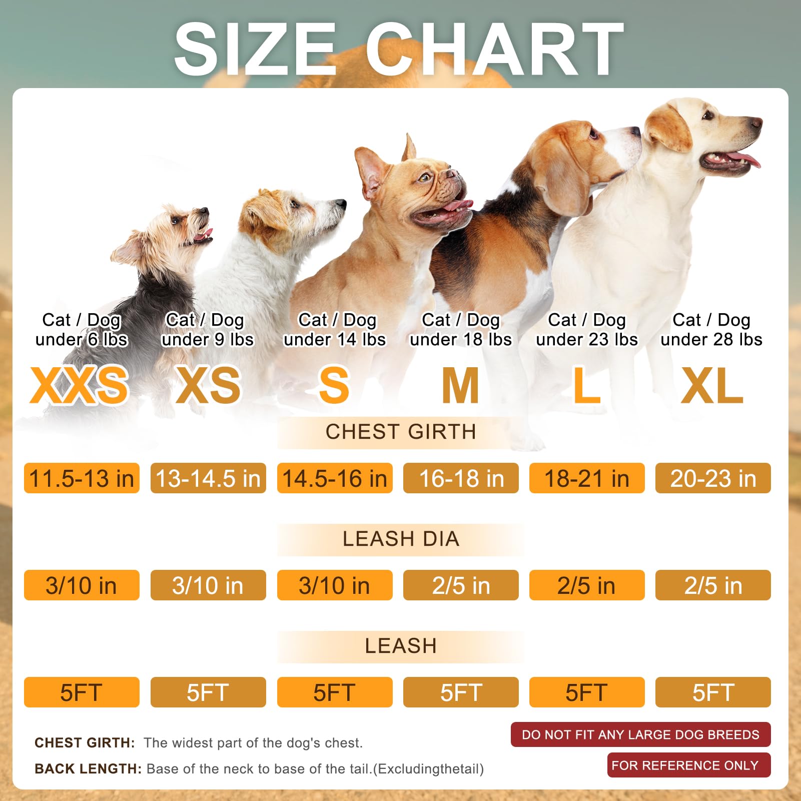 Beautyzoo Small Dog Harness And Leash Set, Step In No Choke No Pull Soft Mesh Dog Harnesses Reflective For Extra-Small/Small Med