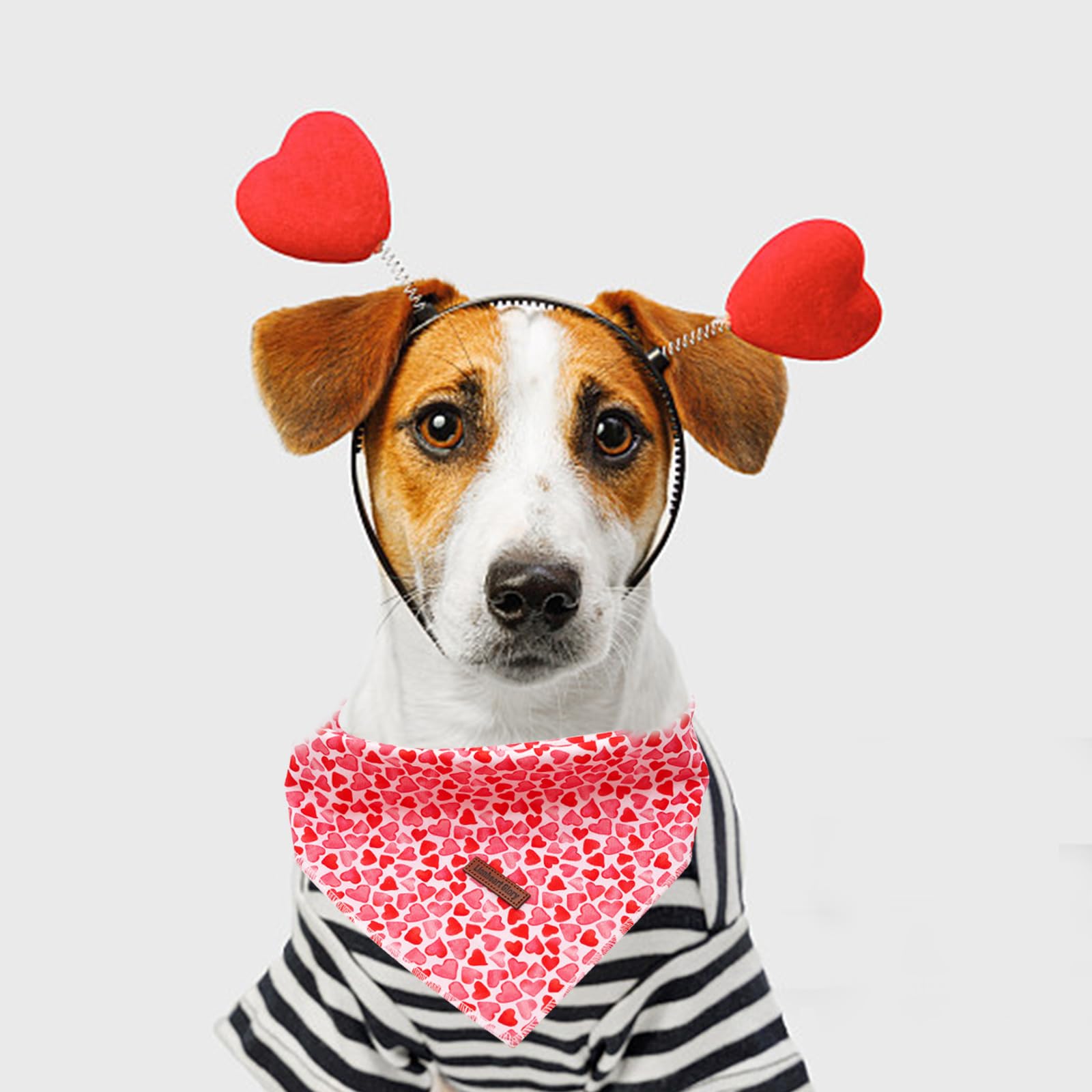 Lionheart Valentine Dog Bandana - Soft, Washable Dog Scarf, Square, Adjustable For Medium To Large Dogs