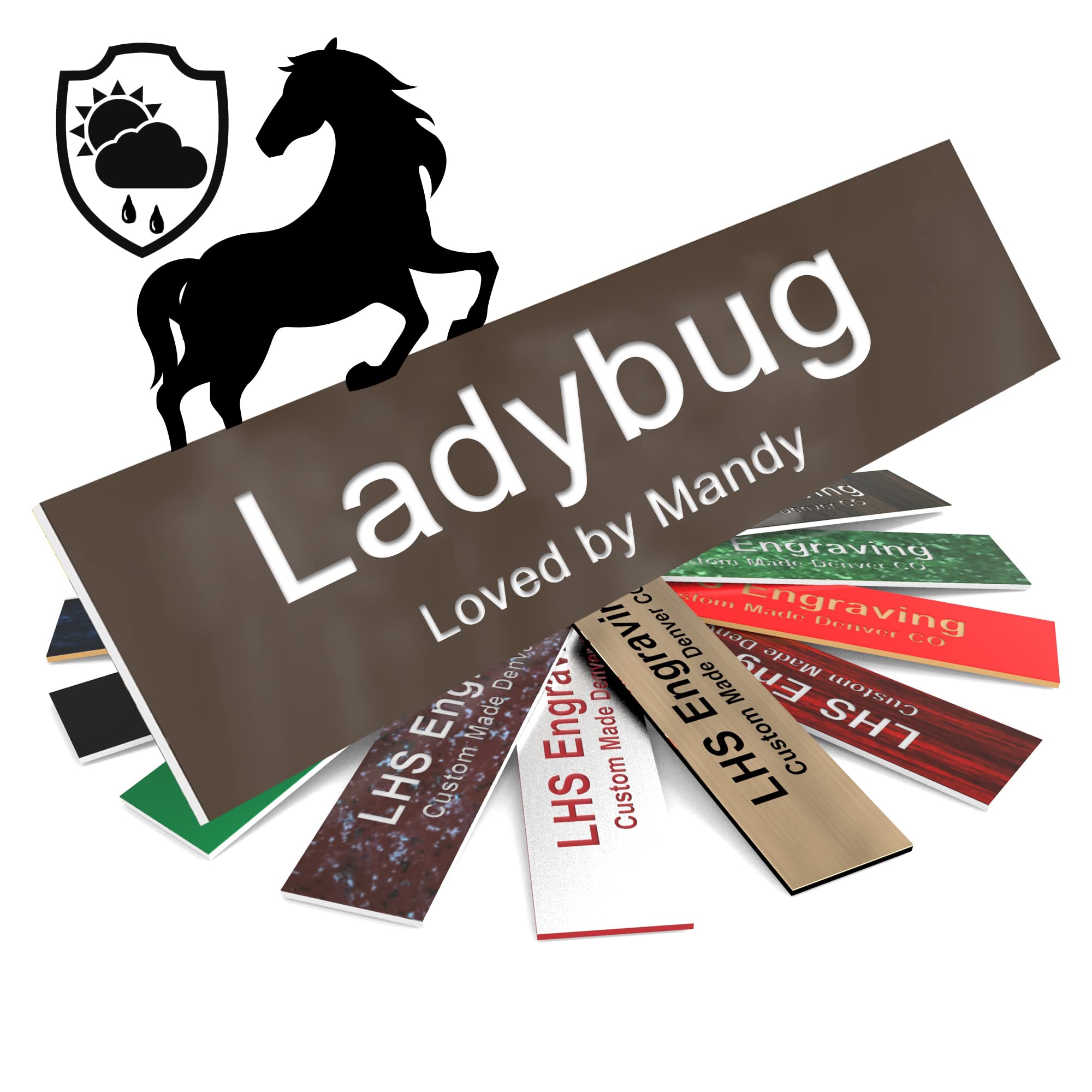 Lhs | Personalized Horse Stall Name Plates, 2X12 Horse Stall Signs With Adhesive, All Weather Uv Protected, Brown Plastic White 