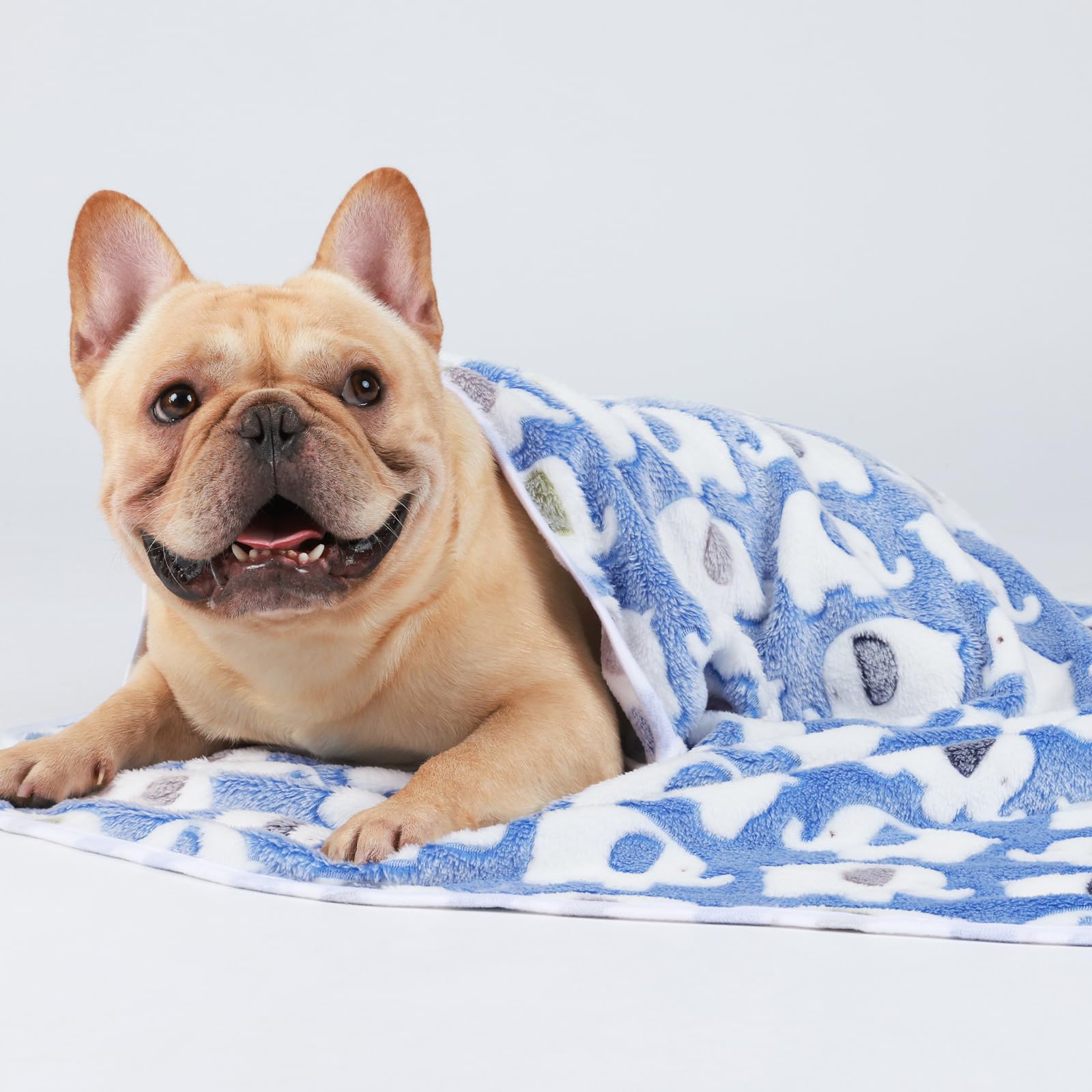 1 Pack 3 Blankets Super Soft Fluffy Premium Cute Elephant Pattern Pet Blanket Flannel Throw For Dog Puppy Cat Blue Large(41X31 I