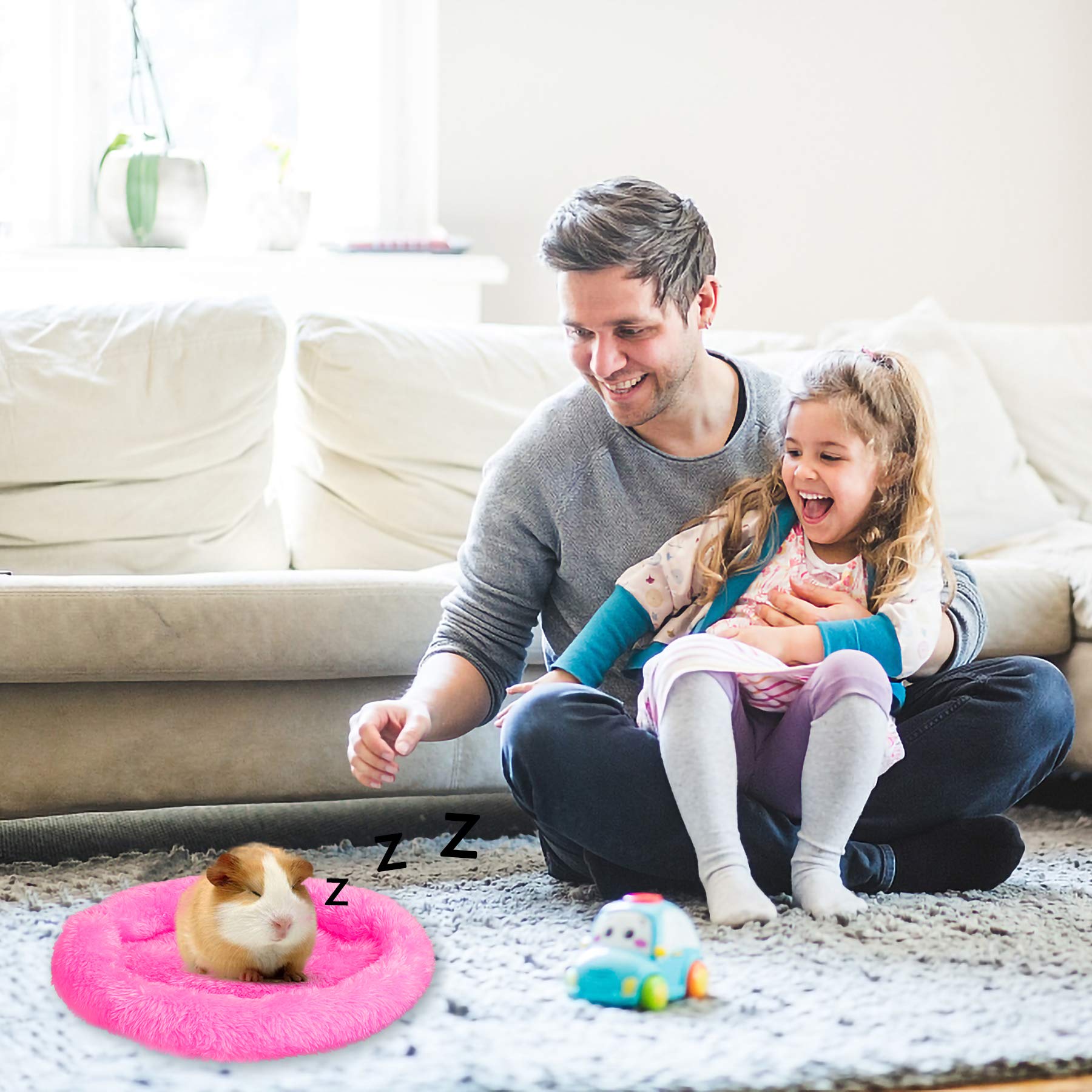 FEBSNOW Guinea Pig & Hamster Beds - Hedgehog, Squirrel & Tortoise/Lizard Beds