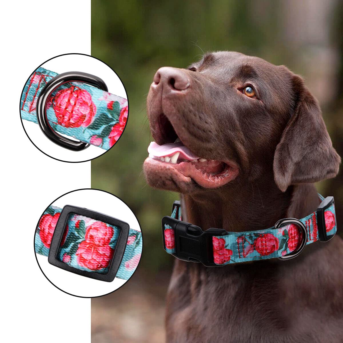 Rhea Rose Girl Dog Collars Summer Floral Rose Print, Female Flower Collar, Turquoise, Large