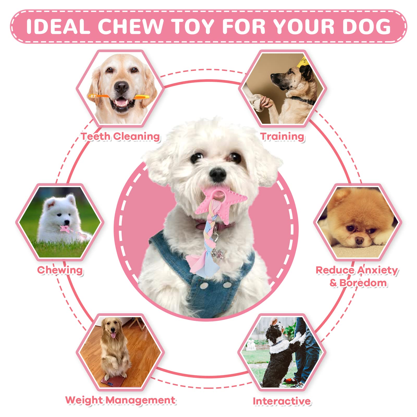 XGDMEIL 6 Pack Puppy Toys for Teething Small Dogs, Cute Pink Dog Chew Toys for Puppies, Soft Squeaky Dog Toys for Small Breed Cl