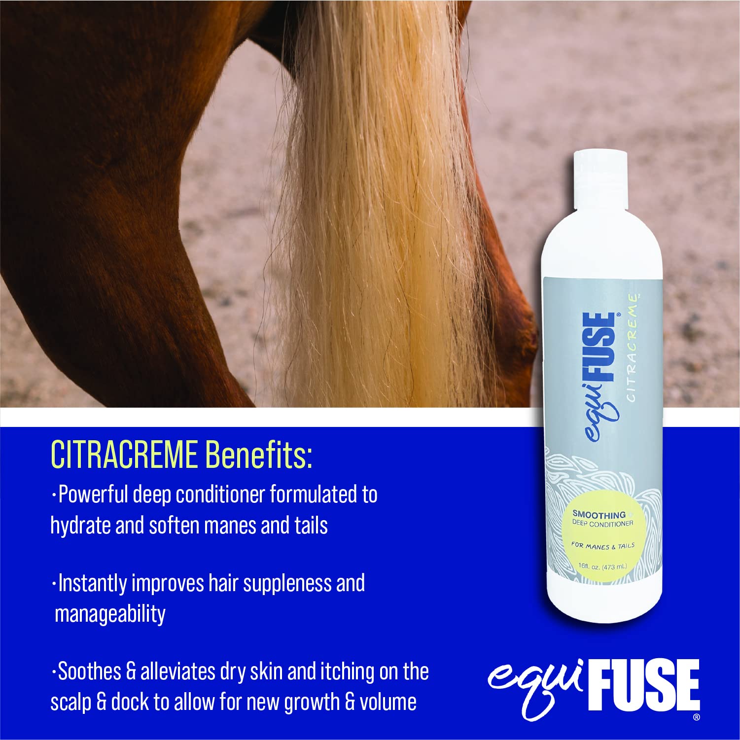 Equifuse Citracreme Deep Conditioner + Rehydrant For Horses | Improves Hair And Enhances The Look, Feel And Manageability Of Manes And Tails | 16Oz