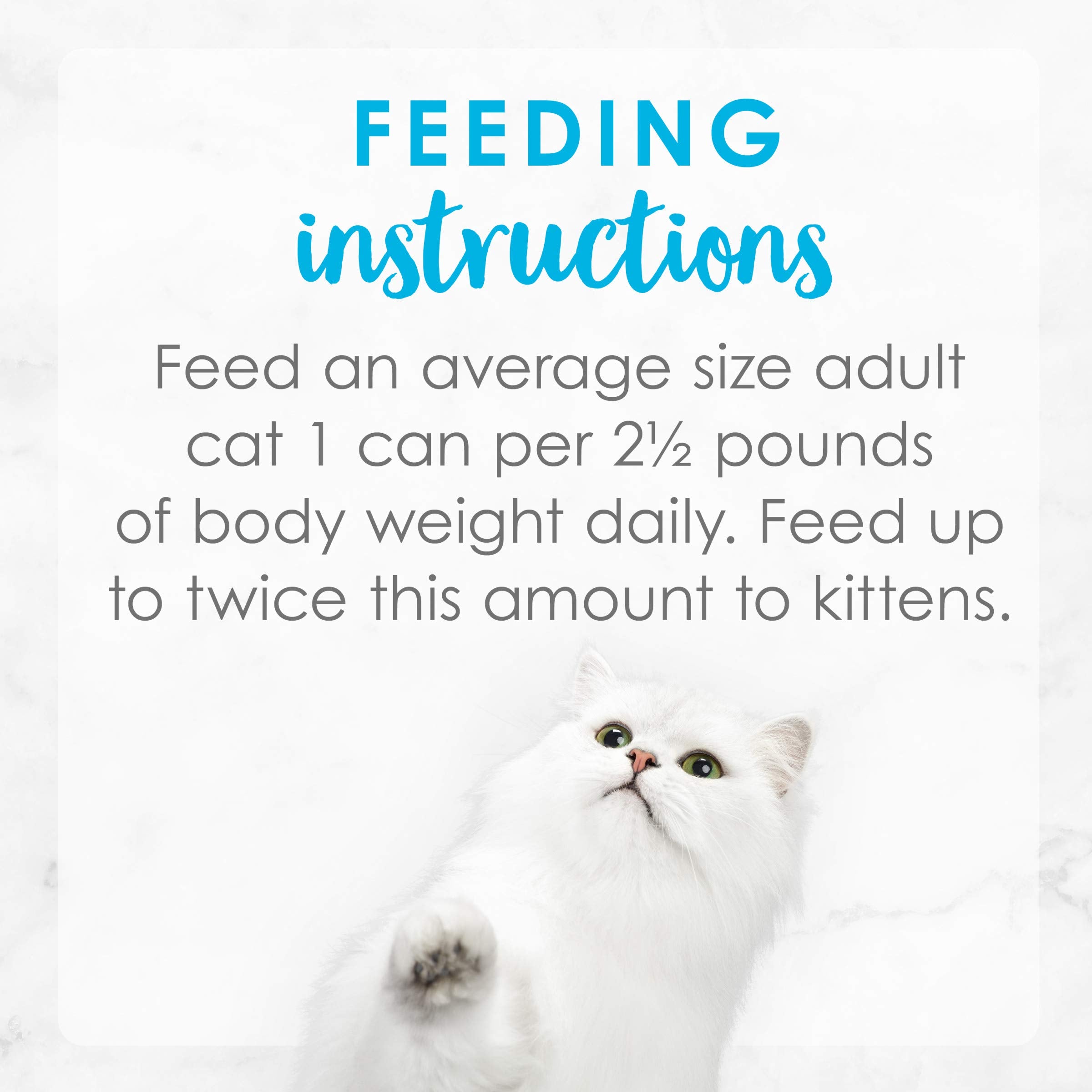 Purina Fancy Feast Delights With Cheddar Grilled Tuna and Cheddar Cheese Feast in Wet Cat Food Gravy Cat Food - (Pack of 24) 3 o