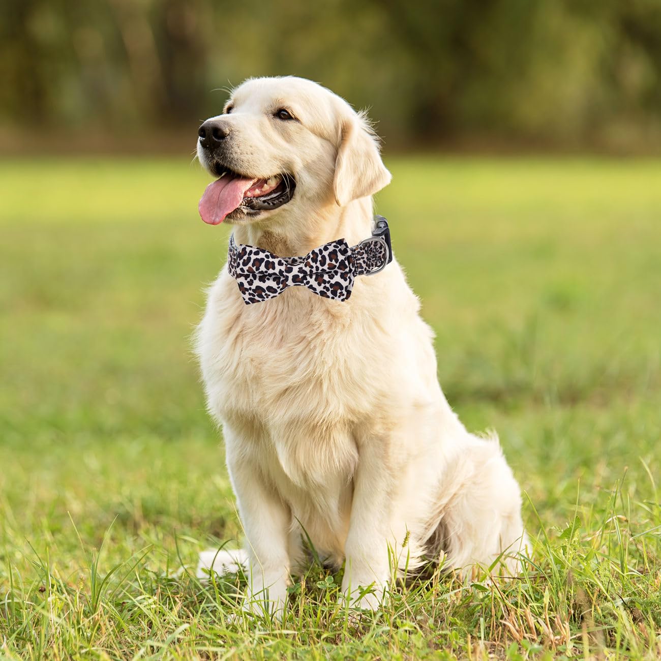 Leopard Dog Collars With Bow Tie, Pretty Pattern Cheetah Print Design Quick Release Buckle Soft Nylon Girl Dog Collars With Bowt