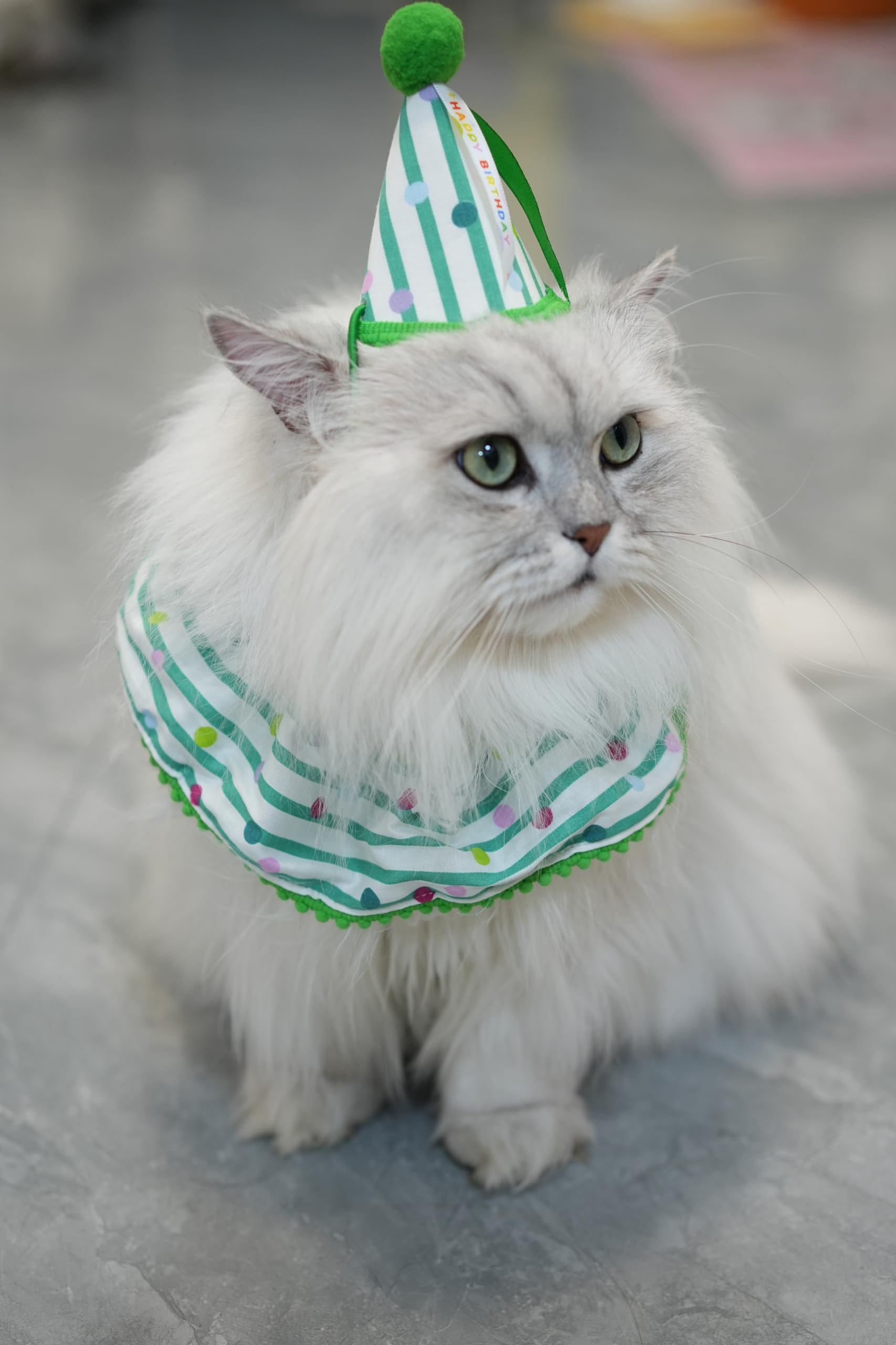 Cat Dog Birthday Bandana Scarf And Party Hat Cute Polka Dot And Stripe Bib Scarf And Birthday Hat Cat Puppy Birthday Party Decor