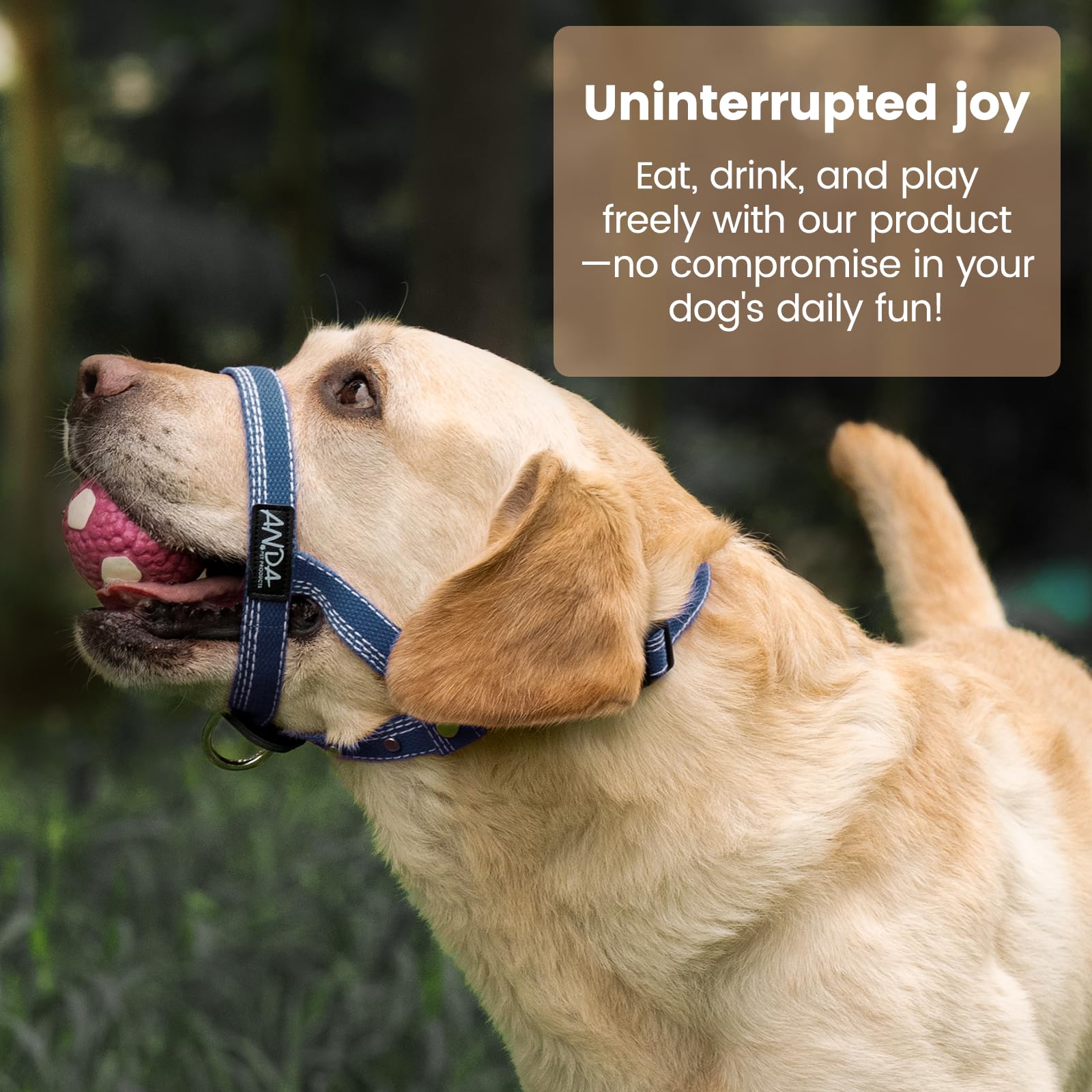 ANDA Ultra-Light No-Pull Gentle Leader for Dogs Headcollar: Adjustable, Breathable Comfort, Prevents Explosive Rushes, Ideal for