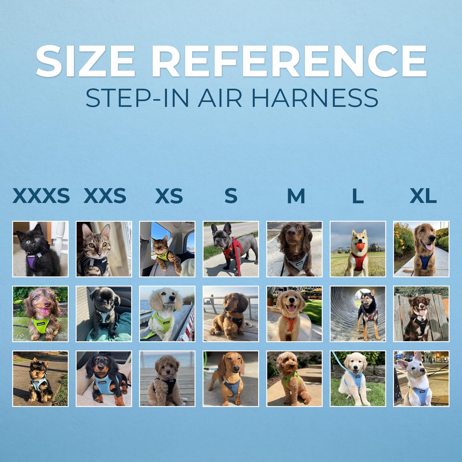 Voyager Step-In Air Dog Harness - All Weather Mesh Step In Vest Harness For Small And Medium Dogs By Best Pet Supplies - Blue, Medium