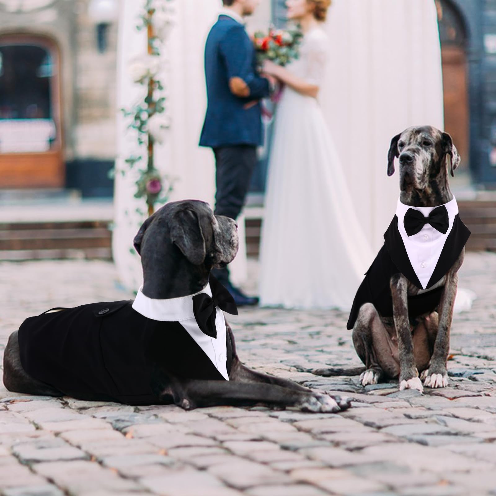 Qbleev Dog Tuxedo For Medium Dogs, Dog Suit And Bandana Set, Dog Wedding Outfit With Bow Tie, Formal Dog Tux Dog Costume Halloween Dog Christmas Outfit For Birthday Party Cosplay, Black M