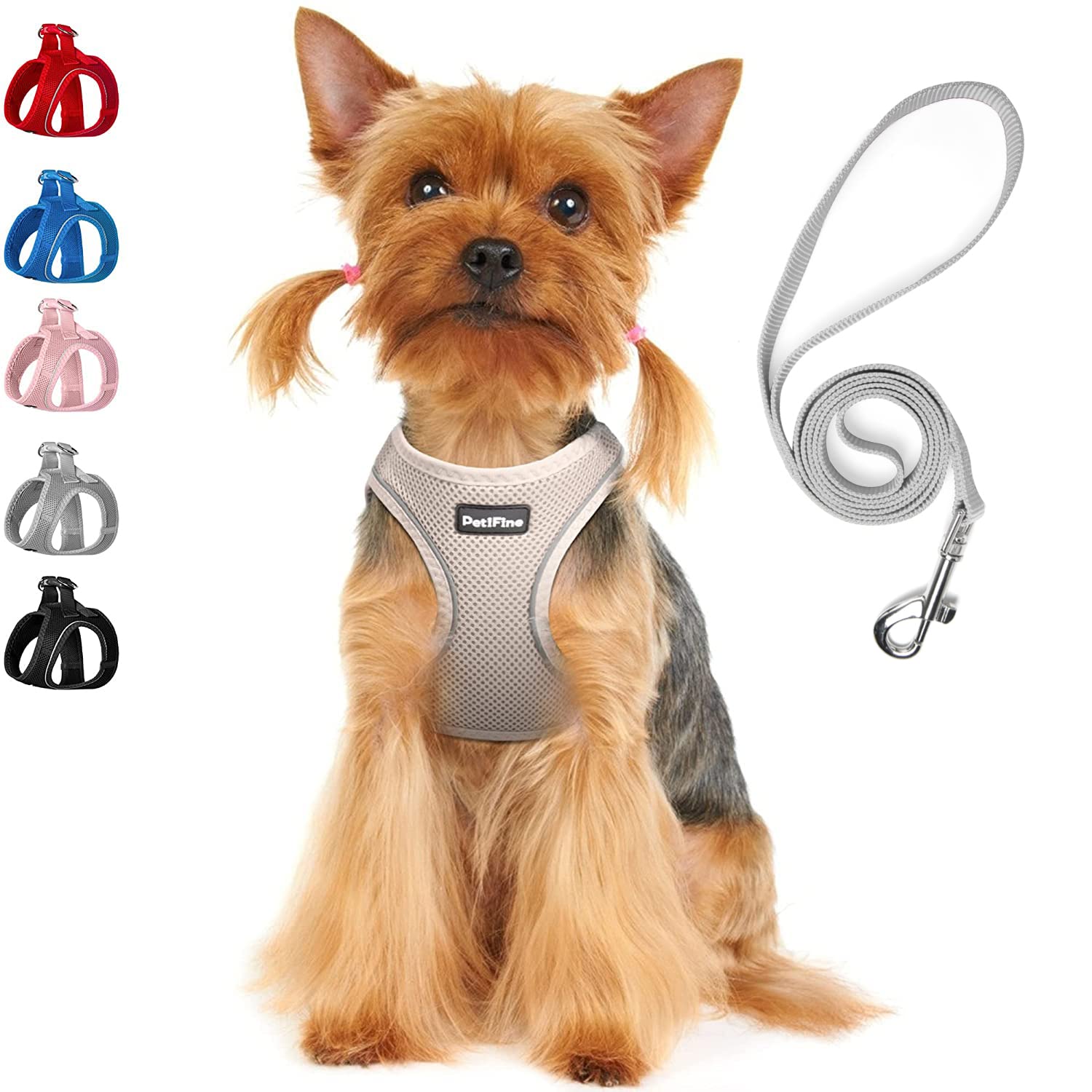 Petifine Extra Small Step In Dog Harness And Leash Set, Cat Harness And Leash Escape Proof, All Weather Mesh Reflective, Step-In Air Vest Harnesses For Puppy(Xxxs, Grey)
