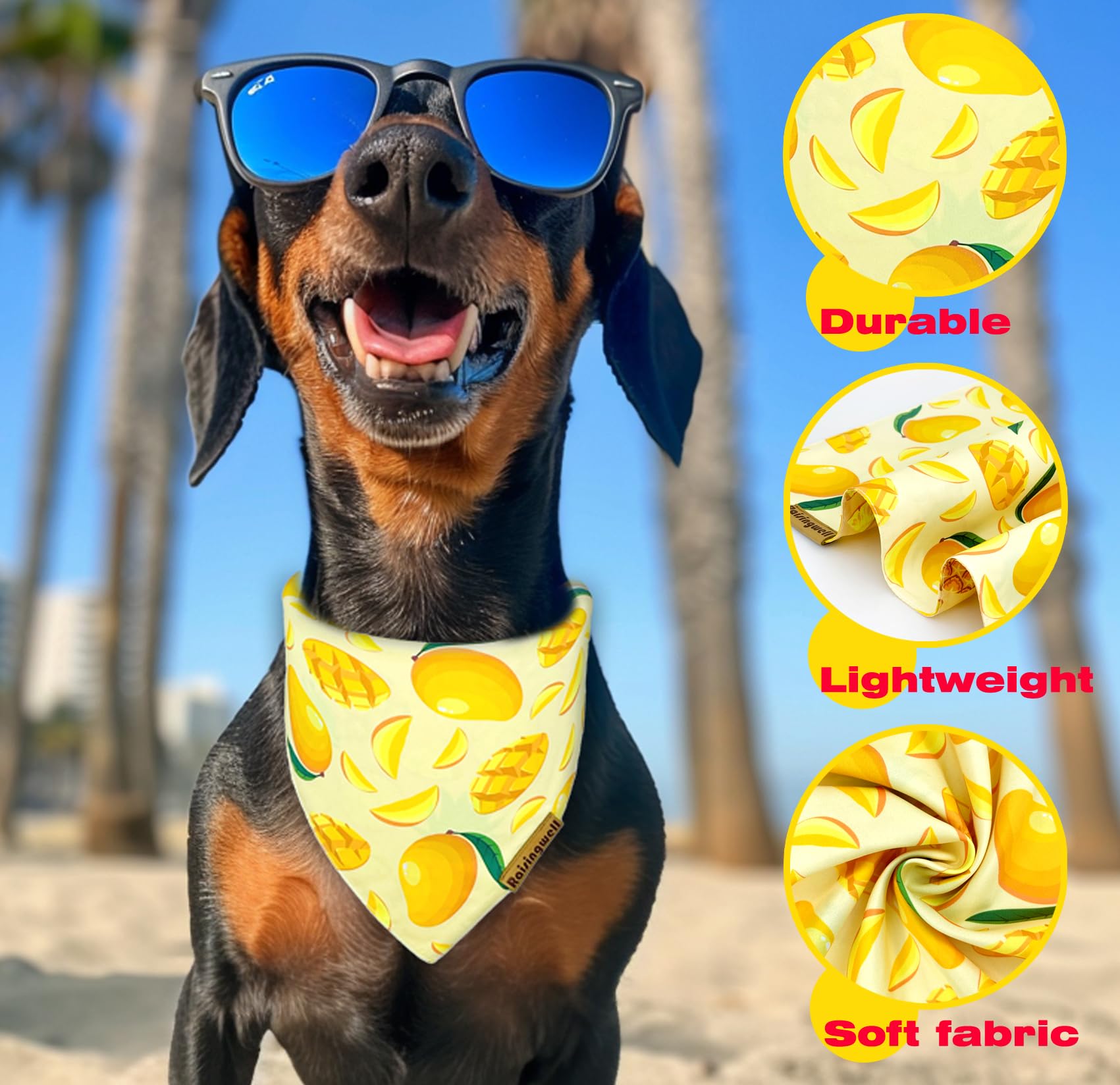 Raisingwell Summer Fruit Dog Bandanas 2 Pack 4 Pattern Reversible, Holiday Bandana For Boy And Girl, Premium Durable Fabric, Par