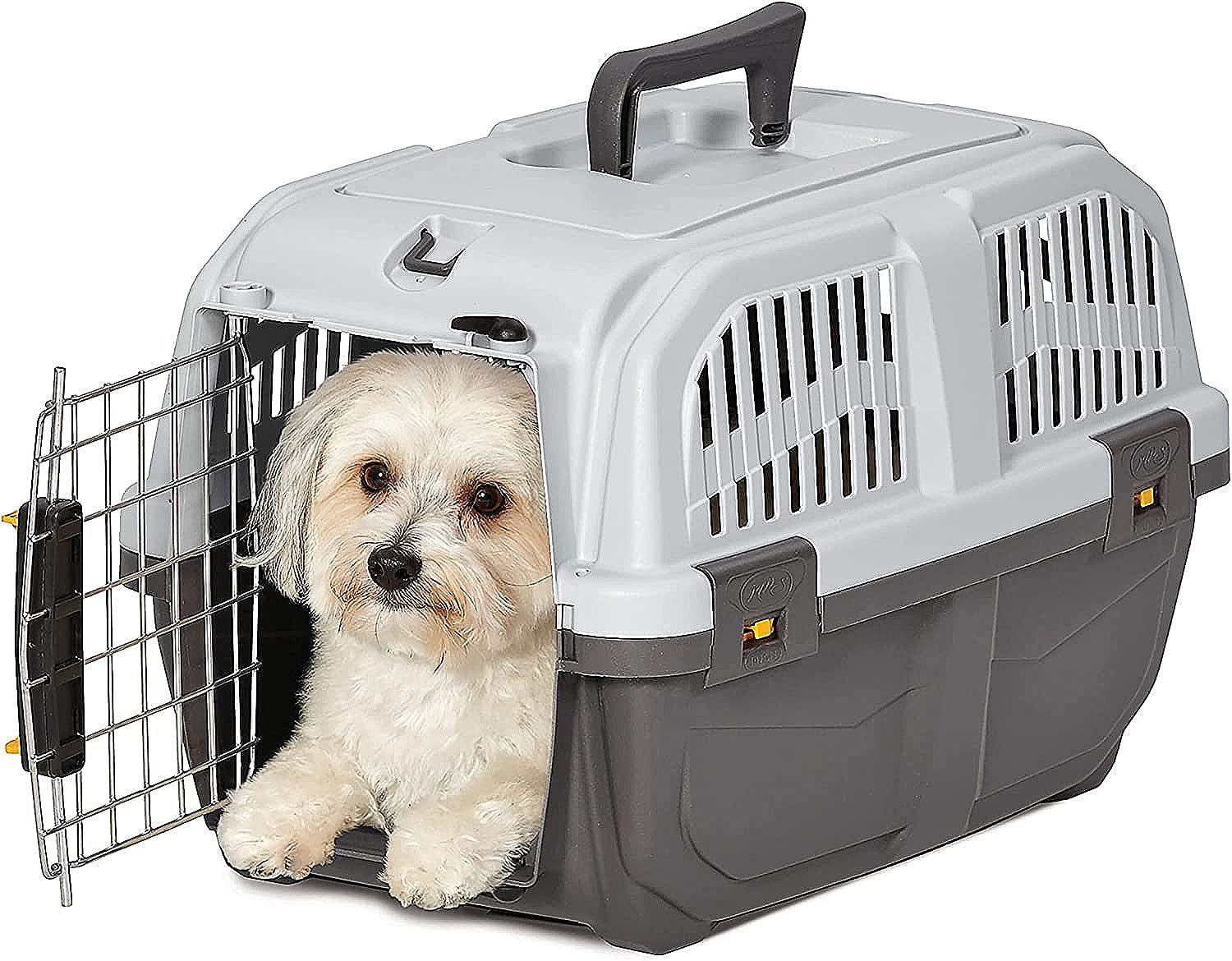 Midwest Homes For Pets Skudo Plastic Carrier, 19-Inch Ideal For 'Toy' Dogs With An Adult Weight Up To 6 Pounds