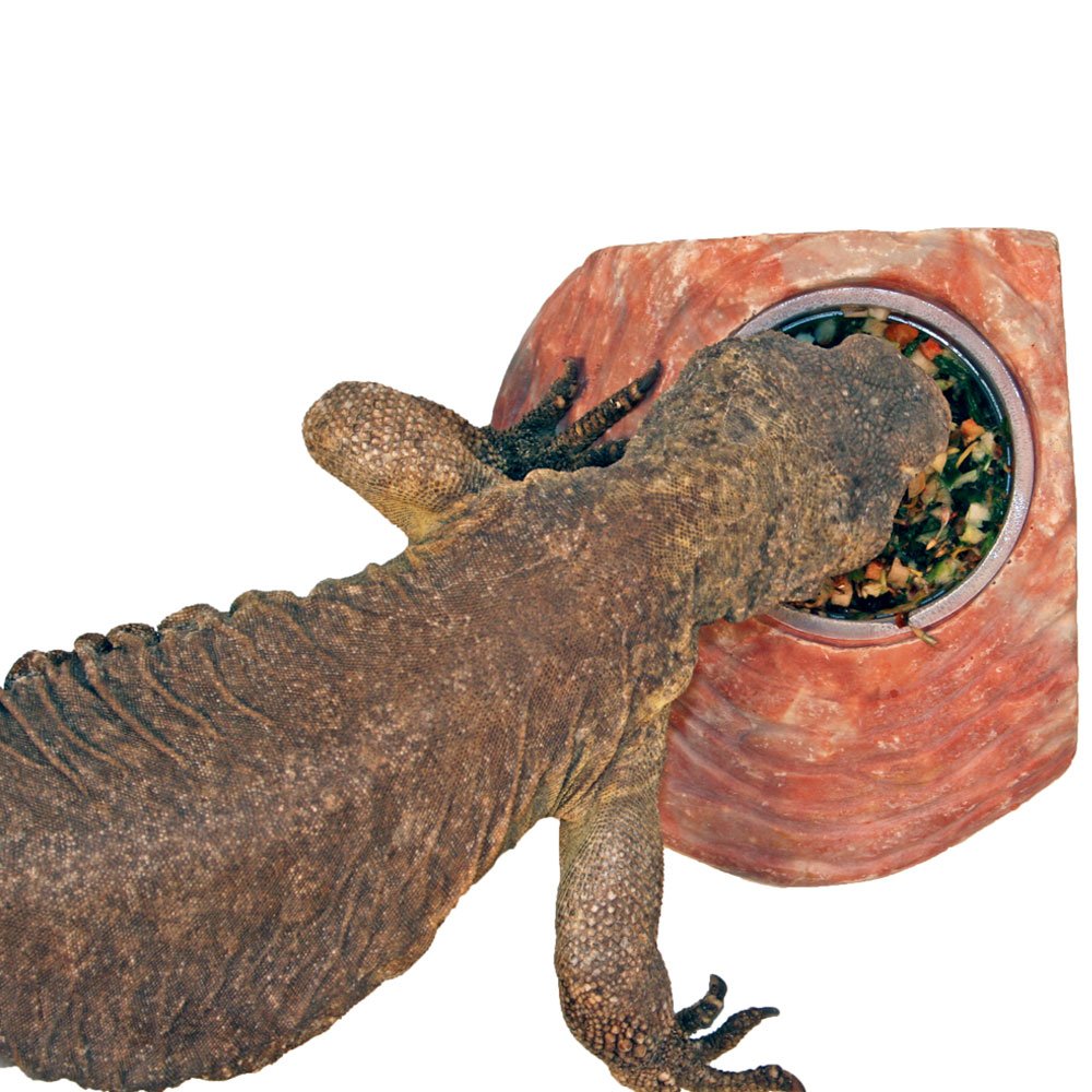 Healthy Herp Veggie Mix Instant Meal for Reptiles - Nutritious Bearded Dragon Accessories, Bearded Dragon Food - Made in USA - Q