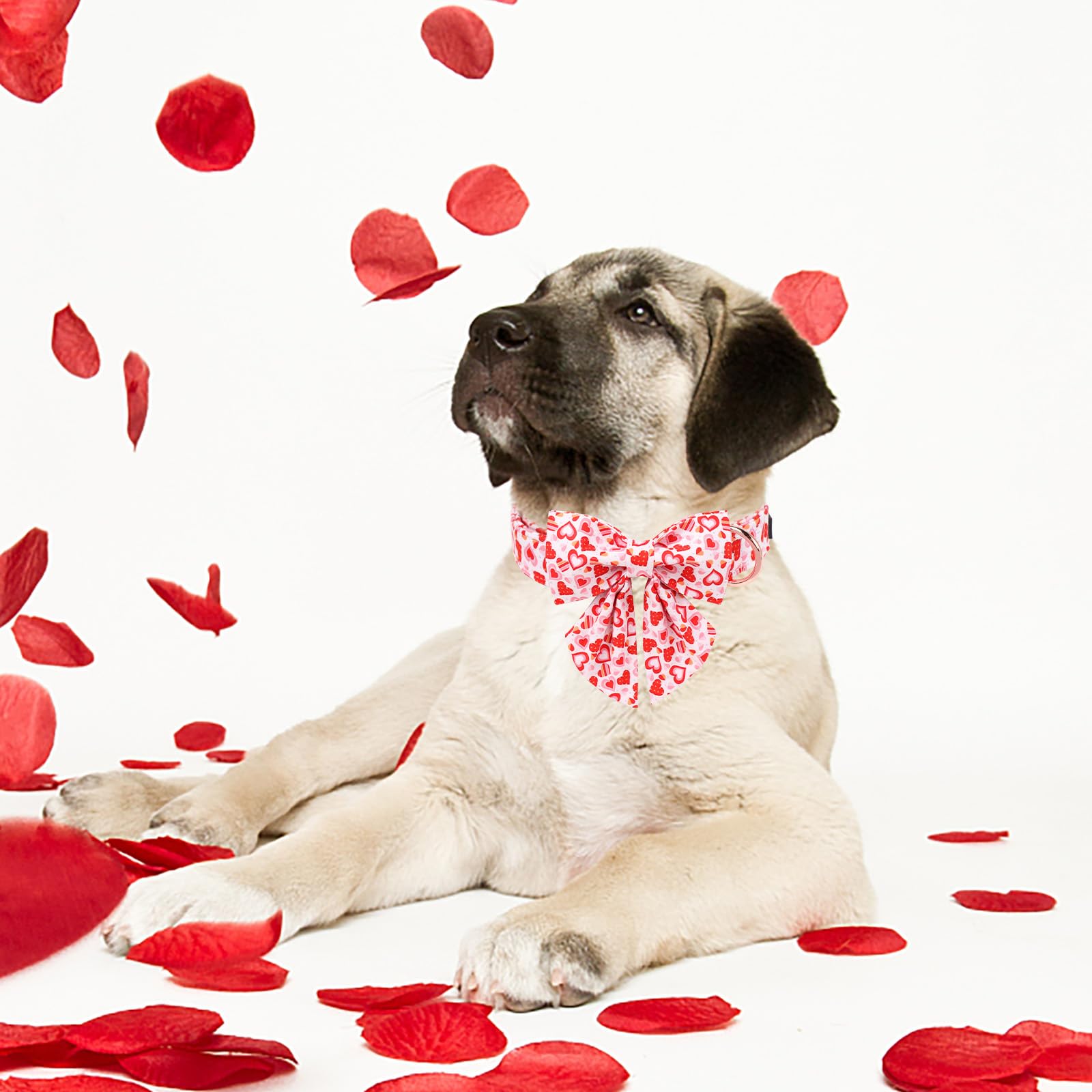Maca Bates Valentines Sweet Heart Dog Collar with Bow Bowtie for Dogs Sailor Bow Tie Adjustable Breakaway Red Collars Accessorie