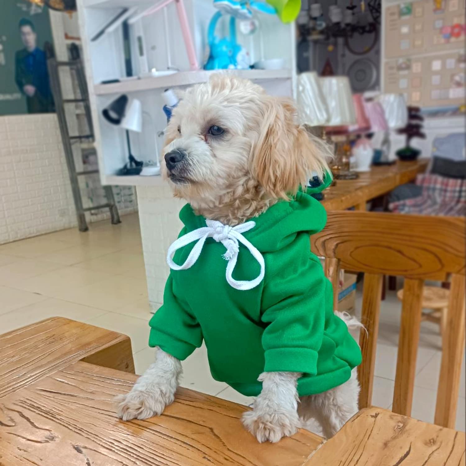 Dog Hoodie Basic Sweater Coat Cute - Frog Shape Warm Jacket Pet Cold Weather Clothes Outfit Outerwear For Cats Puppy Small Mediu