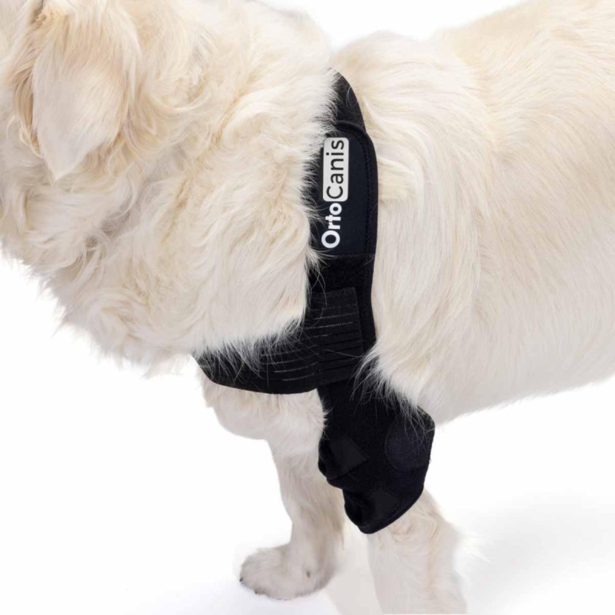 Ortocanis - Elbow Orthosis for Dogs with Elbow Arthritis. Hygromas or Shoulder Dislocation. Size M