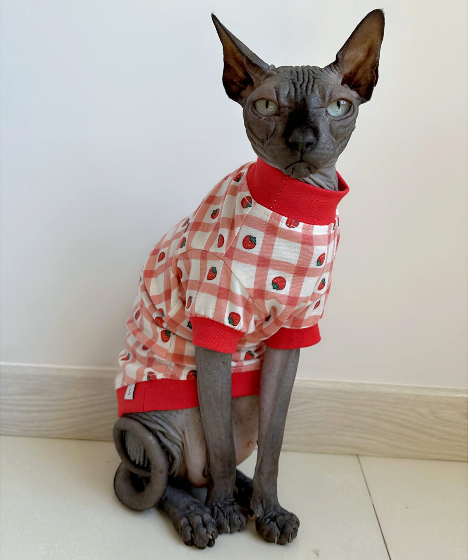 Sphynx Hairless Cat Cute Summer Cotton T-Shirts Pet Clothes,Round Collar Kitten Shirts Cats Apparel (Checkered Strawberry, X-Lar
