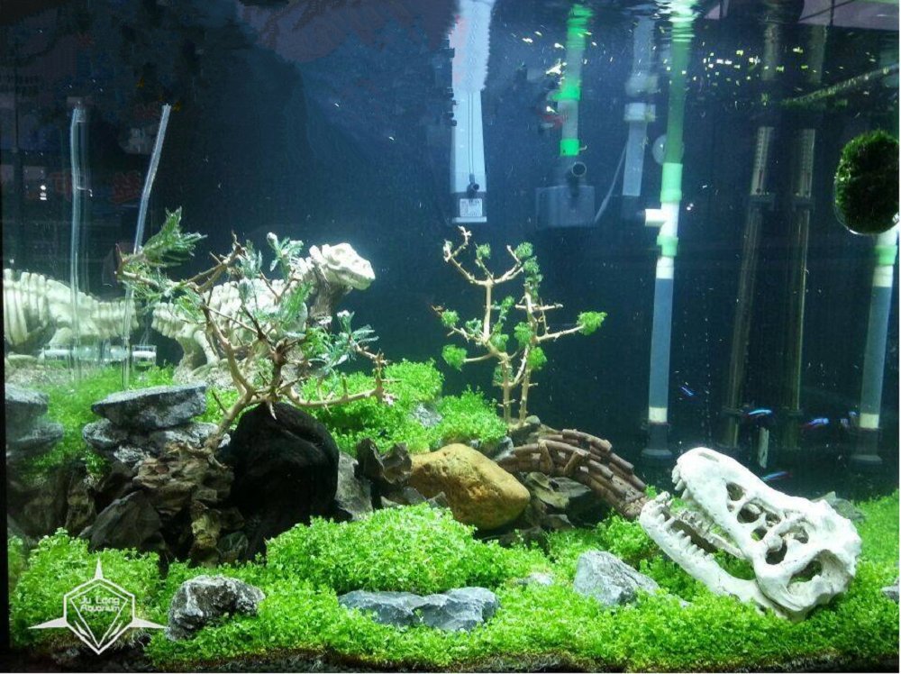 Aquarium Decoration Skeleton Hole Resin Artificial Dinosaur Skull Skeleton Ornament - Fish Tank Small Skull Aquarium Decorations Cave Landscape Pet Reptile House