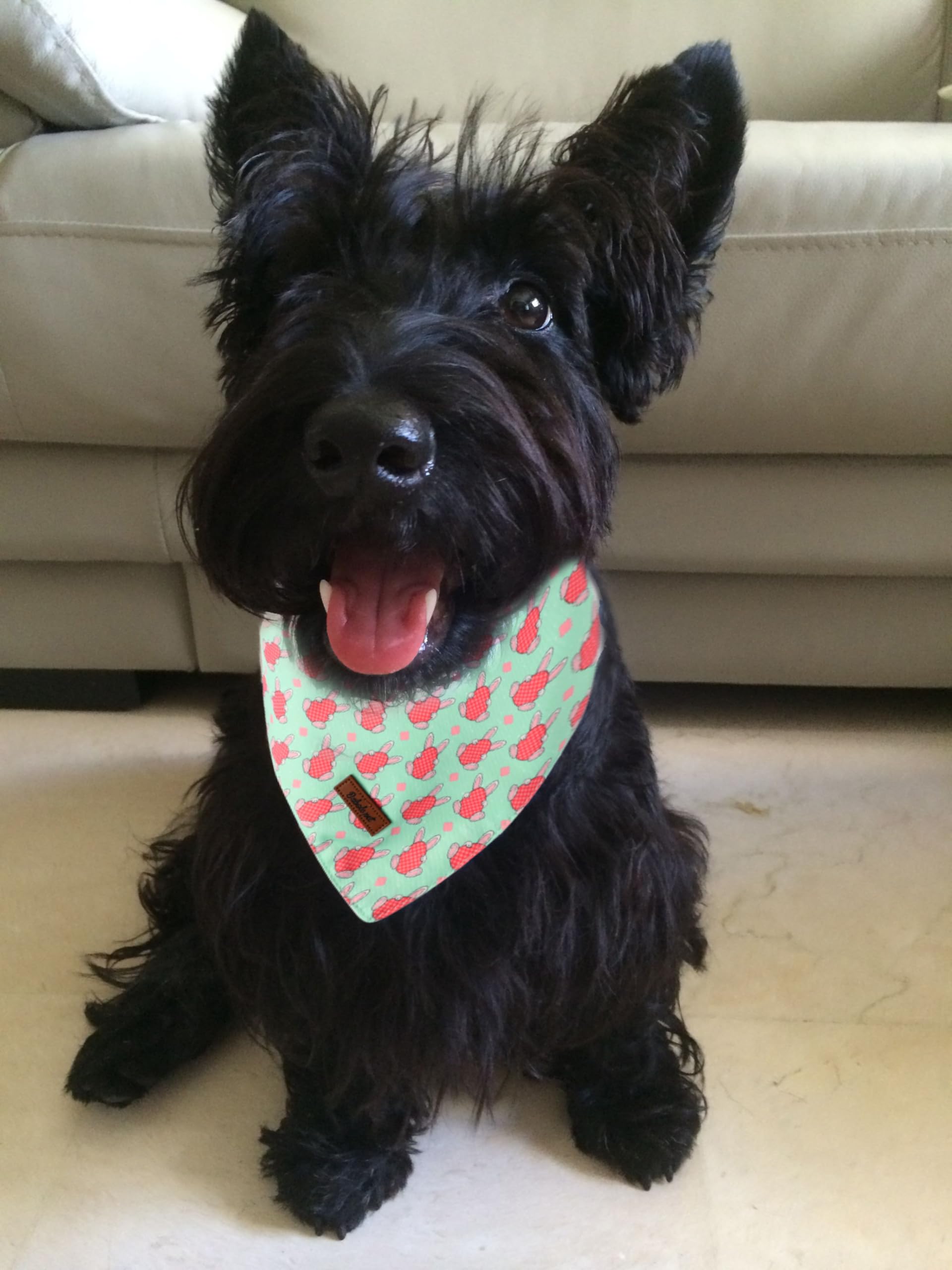 Babole Pet Easter Dog Bandanas 2 Pack, Bunny Eggs & Egg Stripe Pattern Easter Dog Scarf Bib For Boy And Girl, Cute Holiday Banda