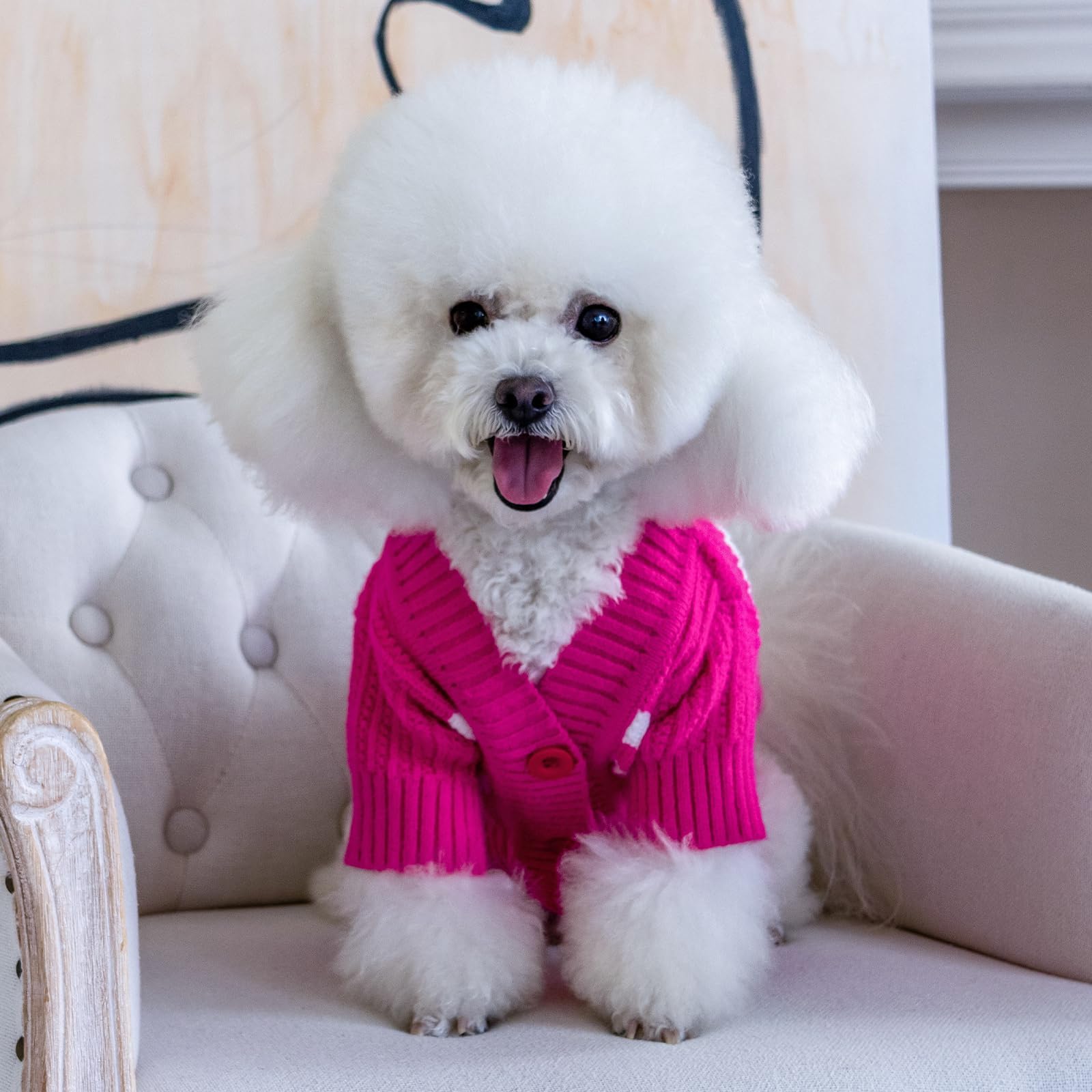 Cutebone Dog Striped Cardigan Sweater, Knitted Pink Dog Winter Clothes For Small Dogs Boy Girl, V-Neck Pet Cat Outfit, Small Siz