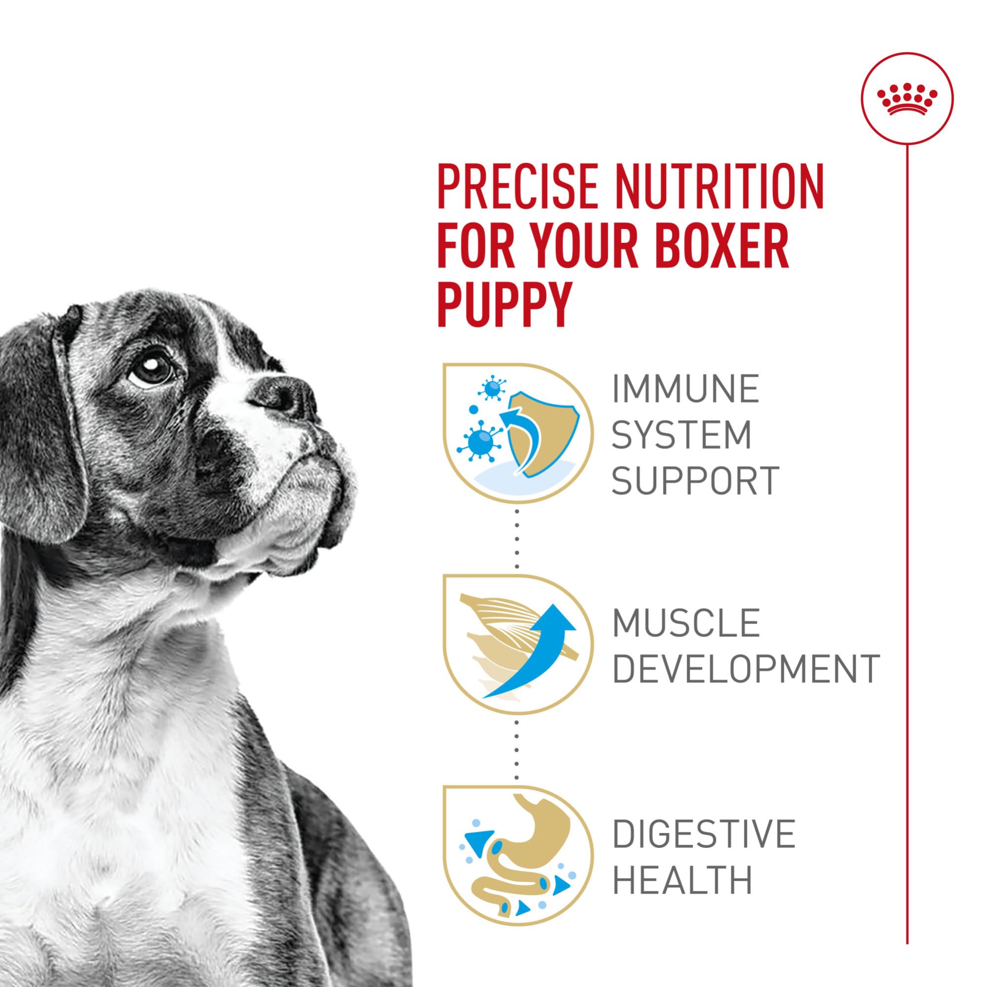 Royal Canin Boxer Puppy Breed Specific Dry Dog Food, 30 lb. bag
