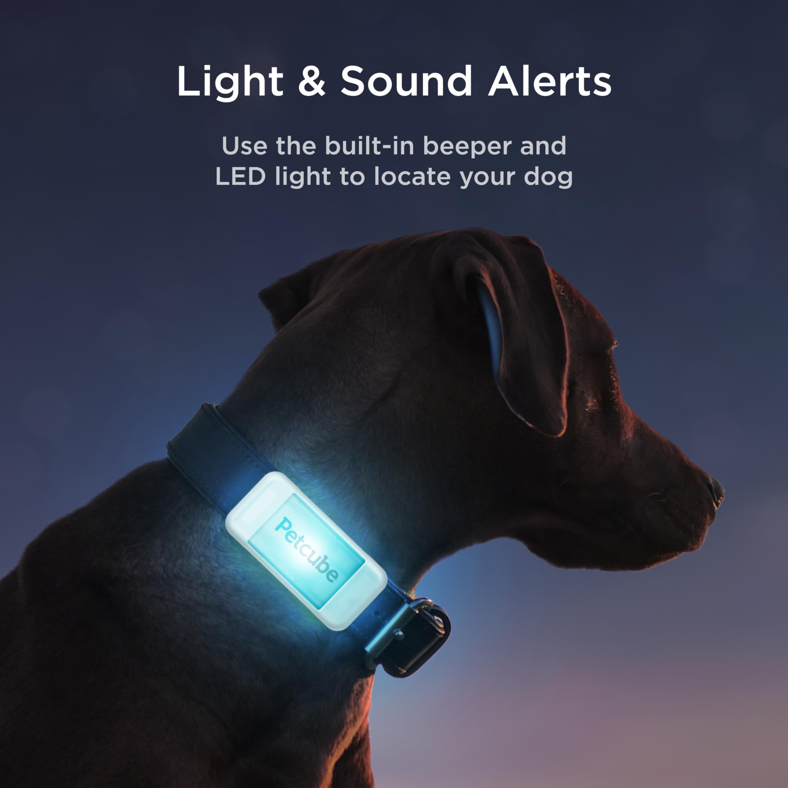 Petcube GPS Tracker for Dogs | Pet GPS Location Tracker with Escape Alerts and Virtual Fences, Activity and Wellness Monitoring,