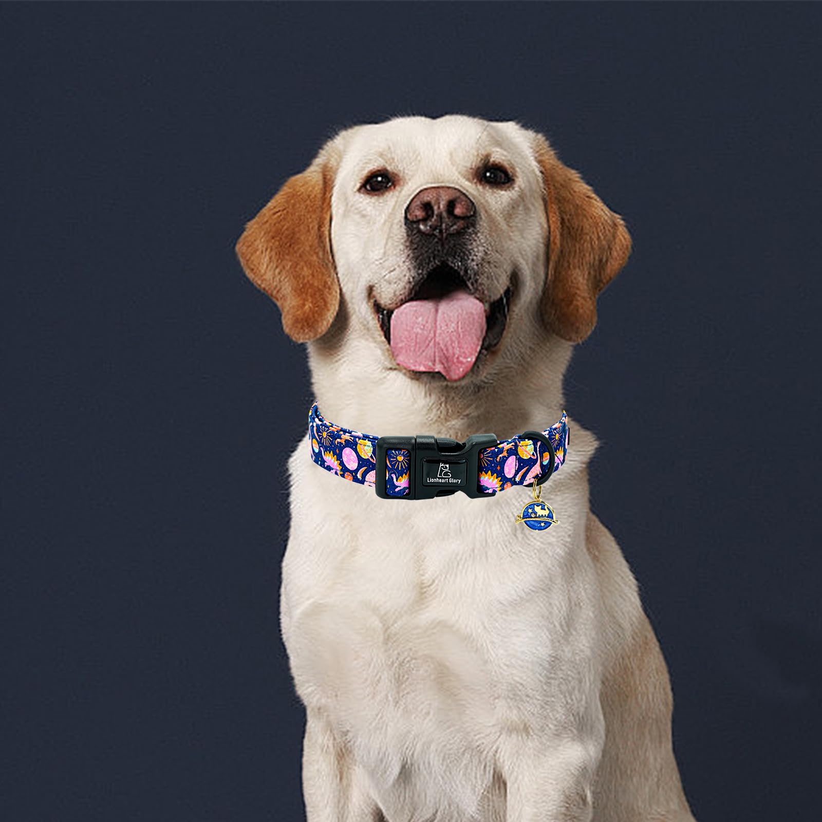 Lionheart Glory Dog Collar Dinosaurs Pattern Cute Collar For Medium Dogs Spring Summer Female Or Male Collars Pets Gift Adjustab