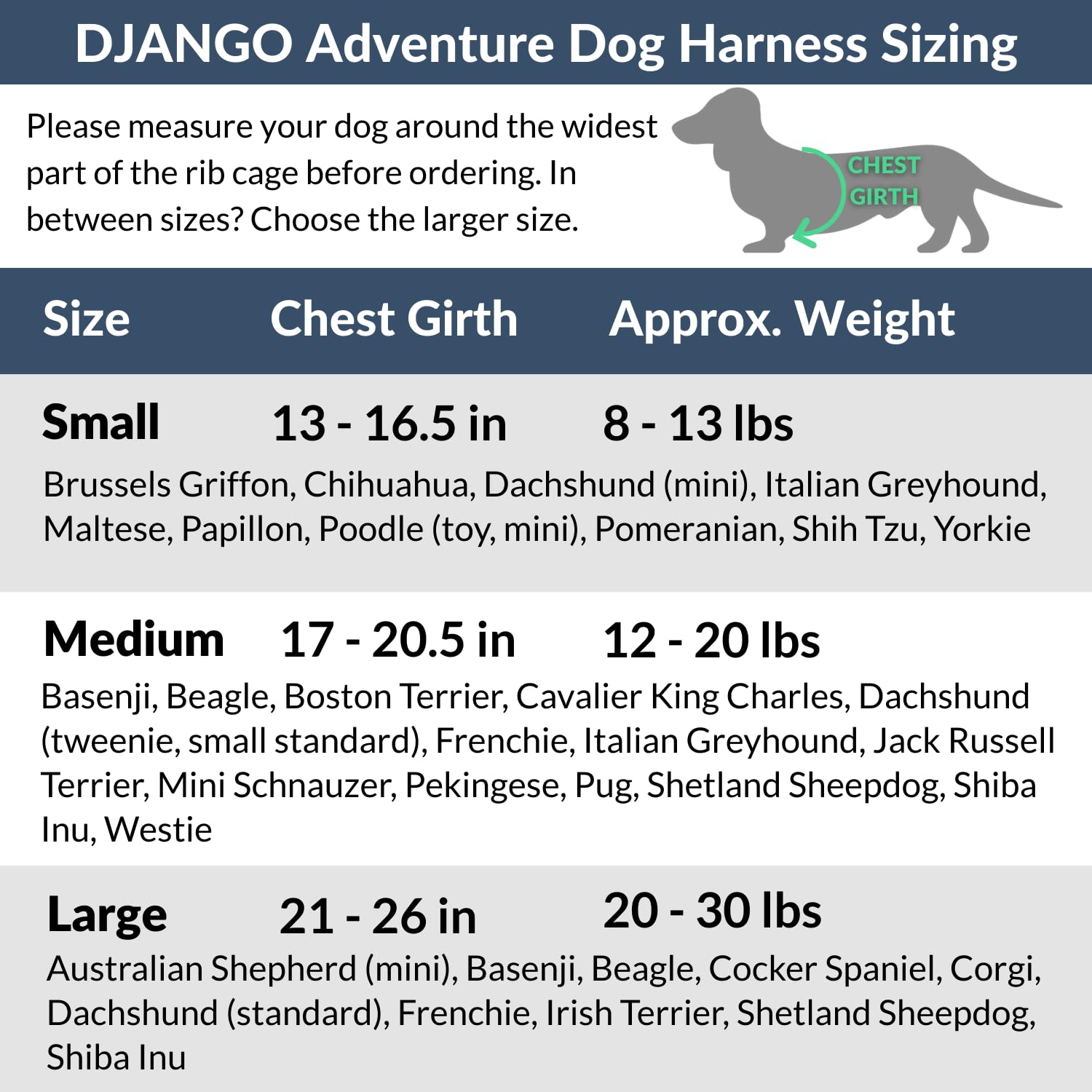 DJANGO Adventure Dog Harness - Stylish & Durable Small Dog Harness for Outdoor Adventures and Everyday Wear - Pacific Blue Neopr