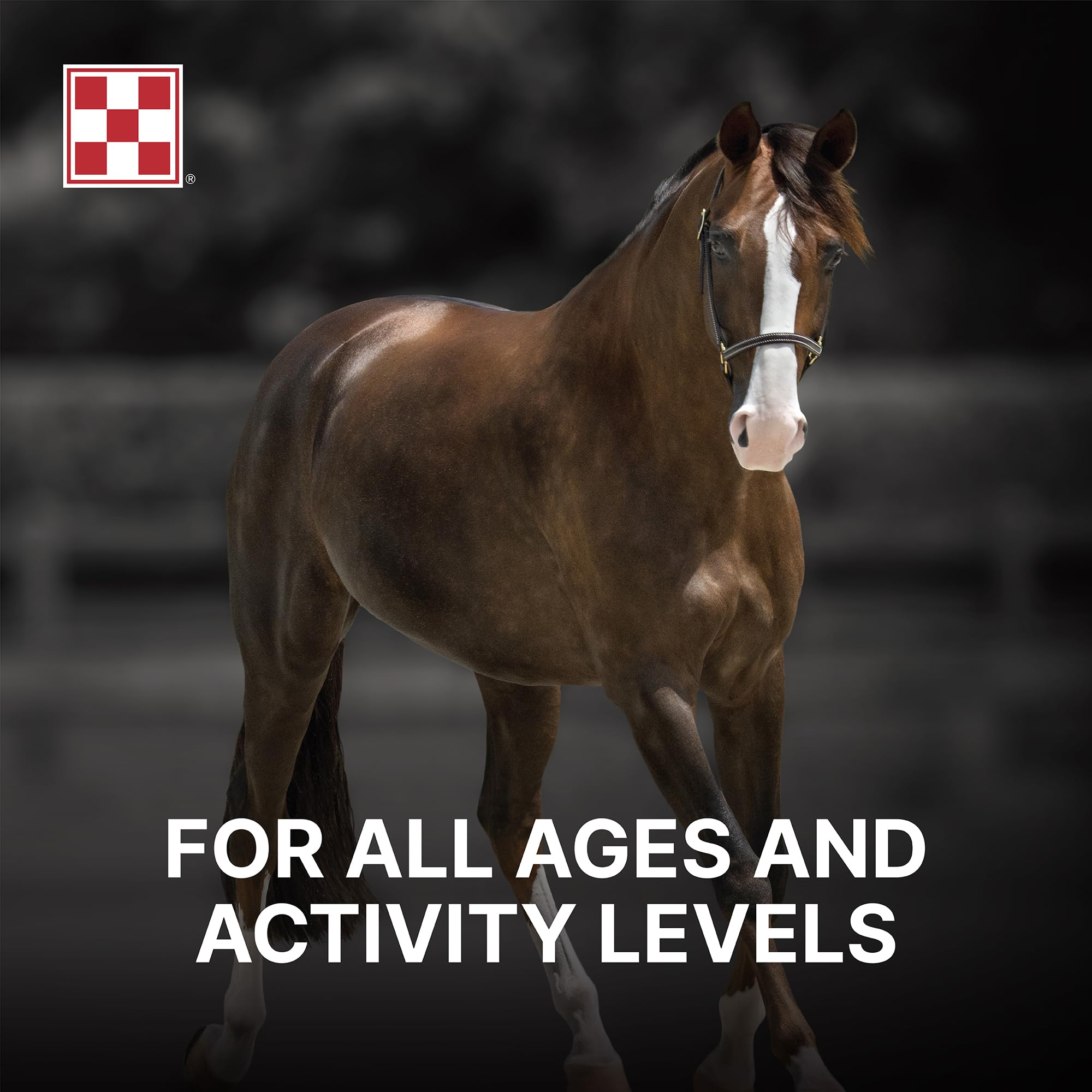 Purina | RepleniMash Product | Horse Mash (7 lb)