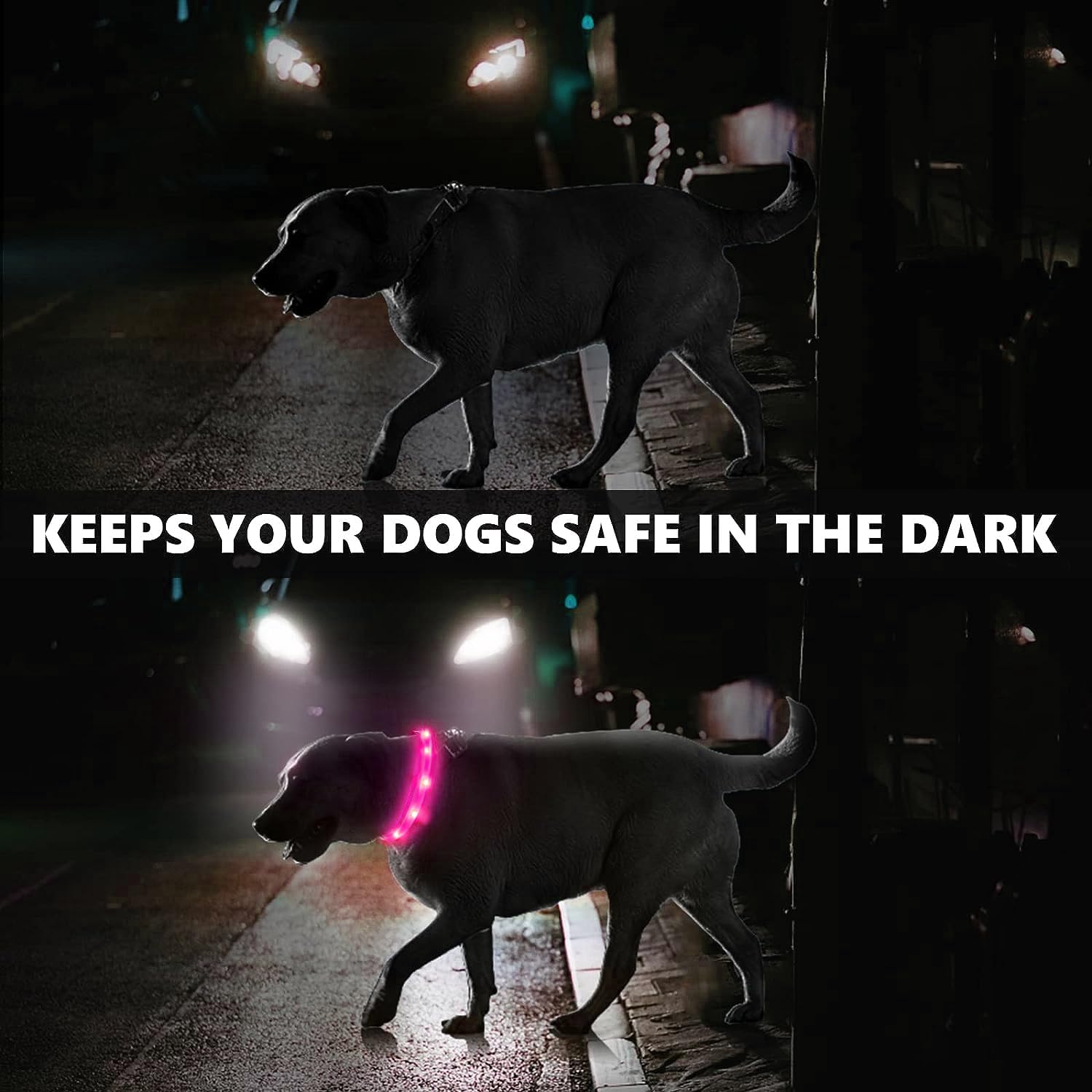2 Pack LED Dog Collar, Rechargeable Light Up Dog Collars, Dog Collar for Night Walking, Improved Dog Safety & Visibility at Nigh