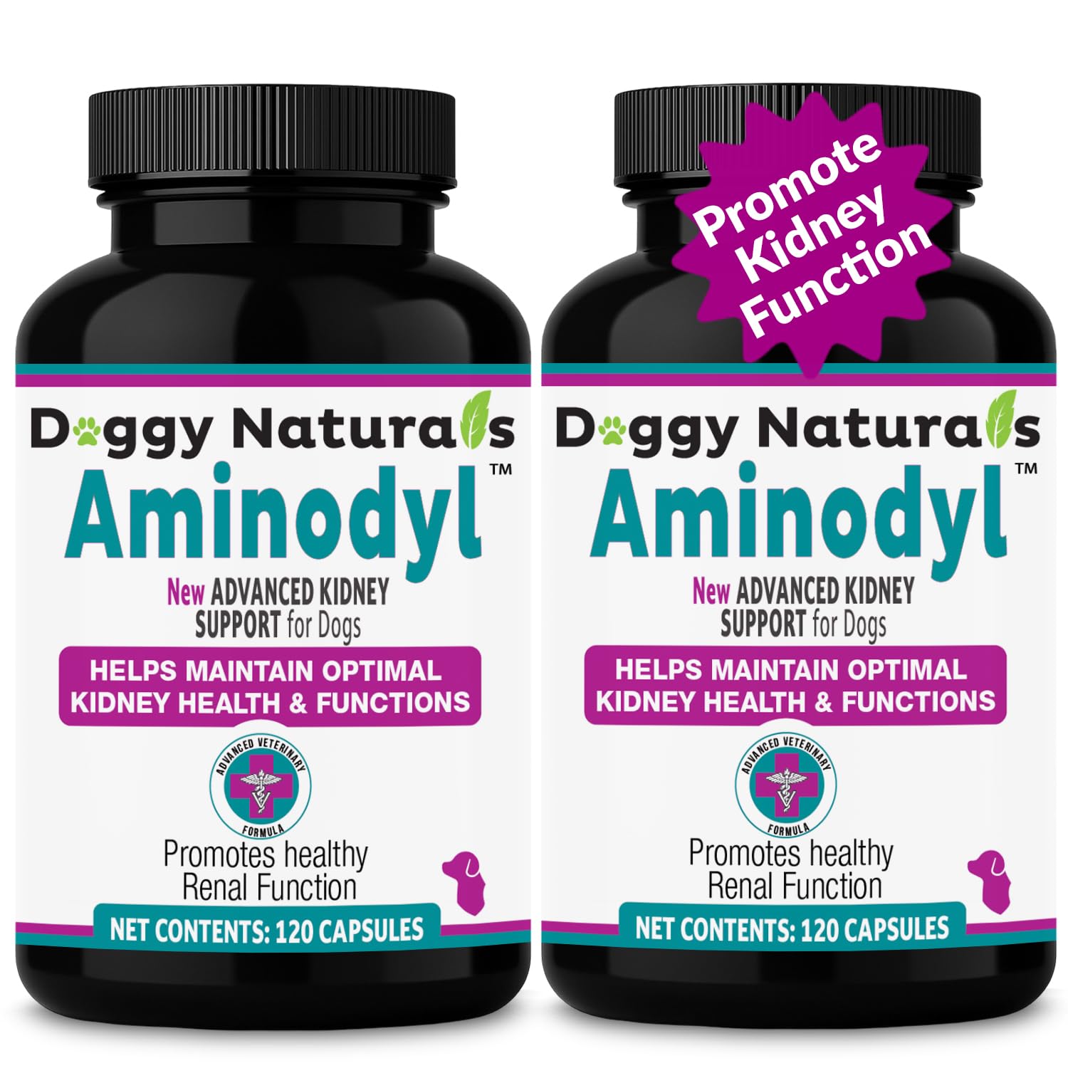 Aminodyl Kidney Support Supplement 1100mg for Dogs - Supports Natural Kidney Function - Promotes Health, Wellbeing & Vitality of