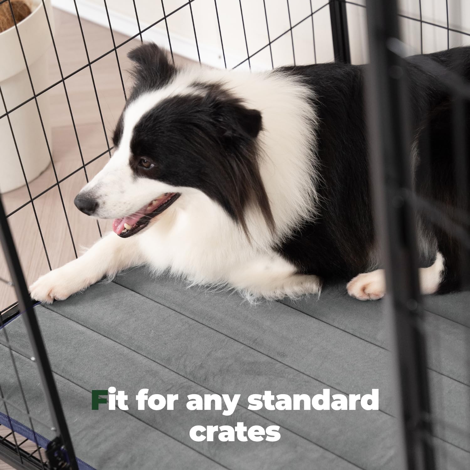 BALANCE Dog Crate Pad, Dog Foam Crate Mat Kennel Pad, Washable Water-Resistant Pet Bed Flat Dogs Cage Mat for Small Dogs, 2 Pack