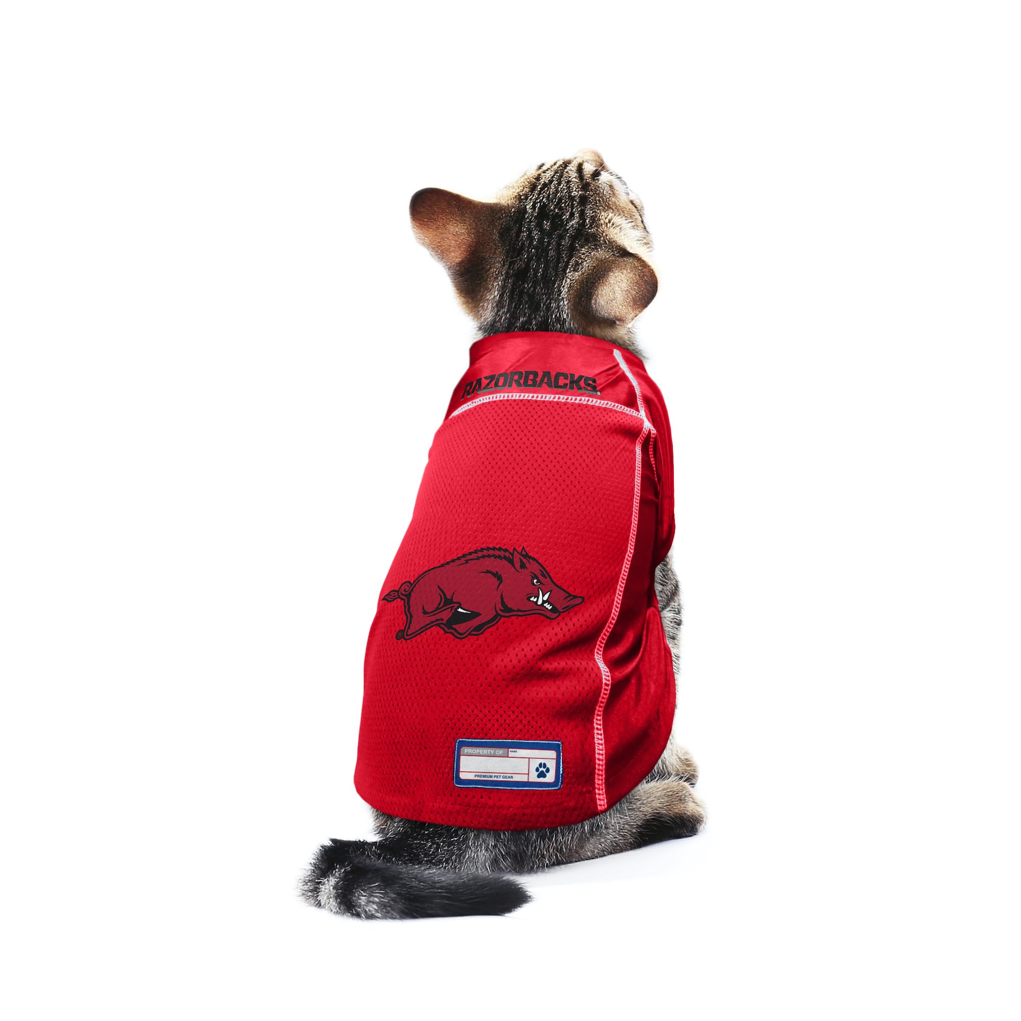 Littlearth Unisex-Adult Ncaa Arkansas Razorbacks Basic Pet Jersey, Team Color, X-Small