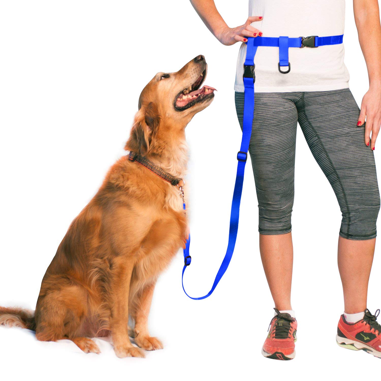 The Buddy System Hands Free Dog Leash, Adjustable Leash For Running, Jogging, Training And Service Dogs, Great For Small, Medium And Large Dogs, Made In Usa (Royal Blue, X-Large Belt (33'- 60' Waist))