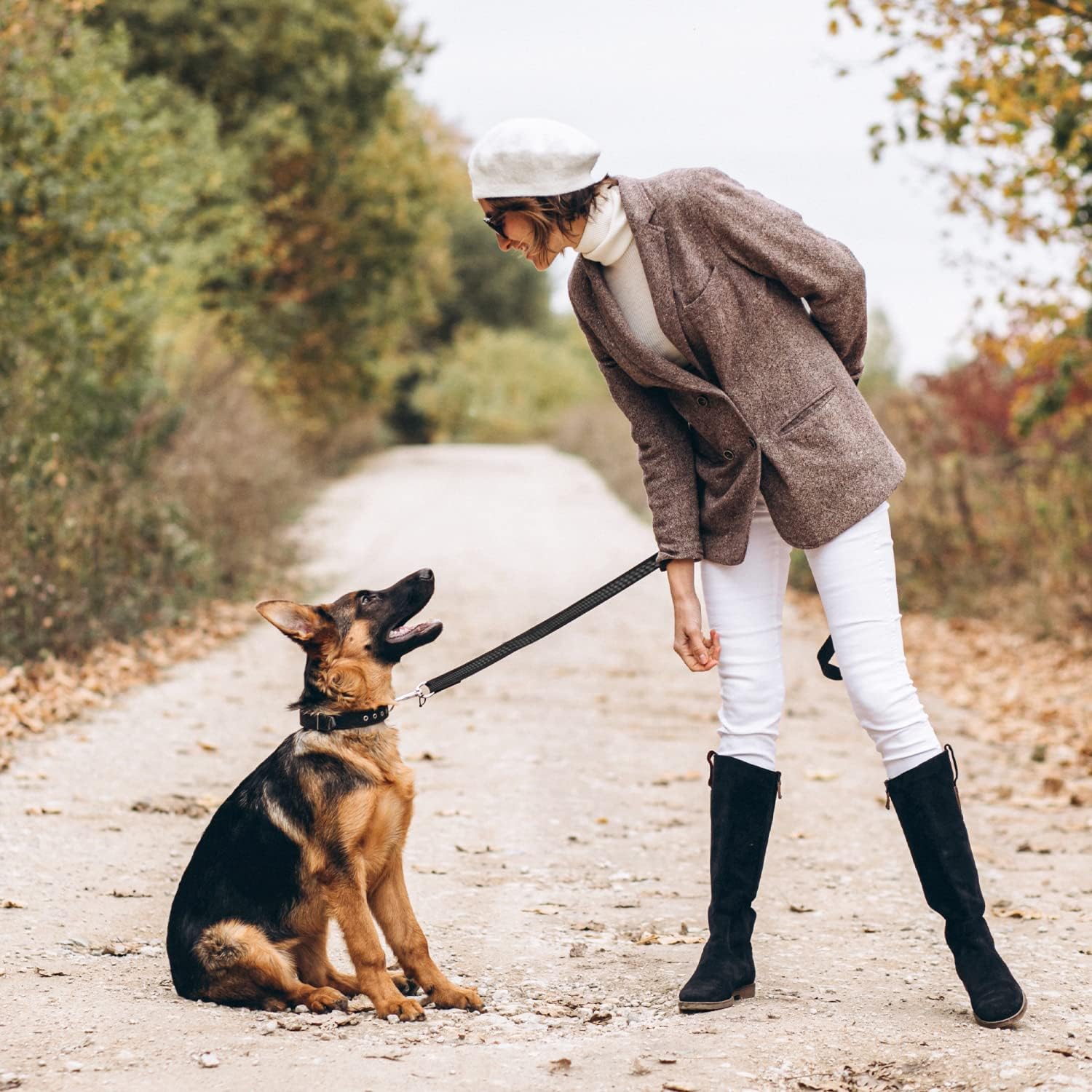 Black Rhino Heavy Duty Dog Leash For Medium And Large Dogs - 6 Ft Long Double Handle Leash With Padded Traffic Control Handles A