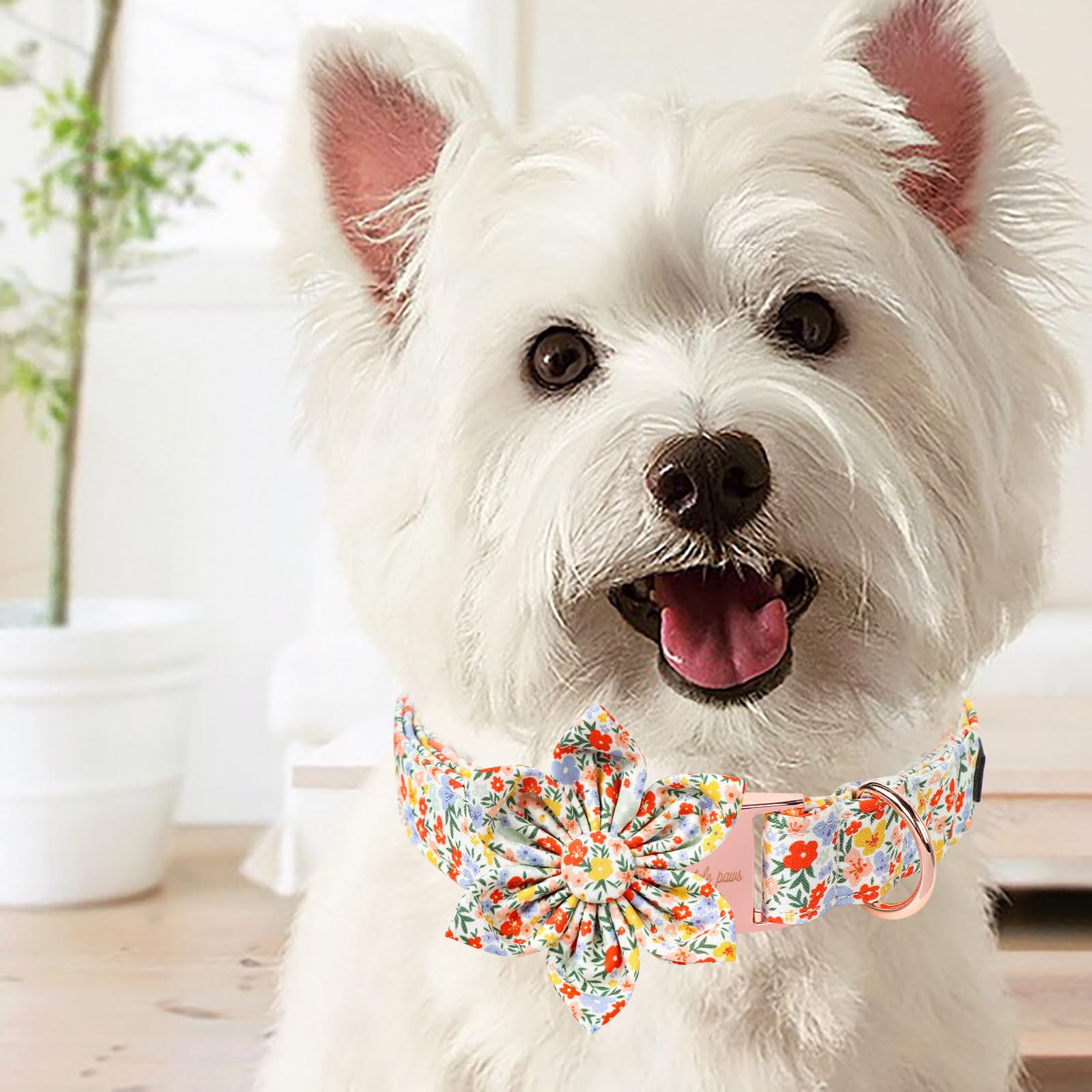 Unique Style Paws Summer Dog Collar With Floral Bow,Colorful Bow Tie Puppy Collar,Flower Pattern Dog Bow Collar For Small,Medium