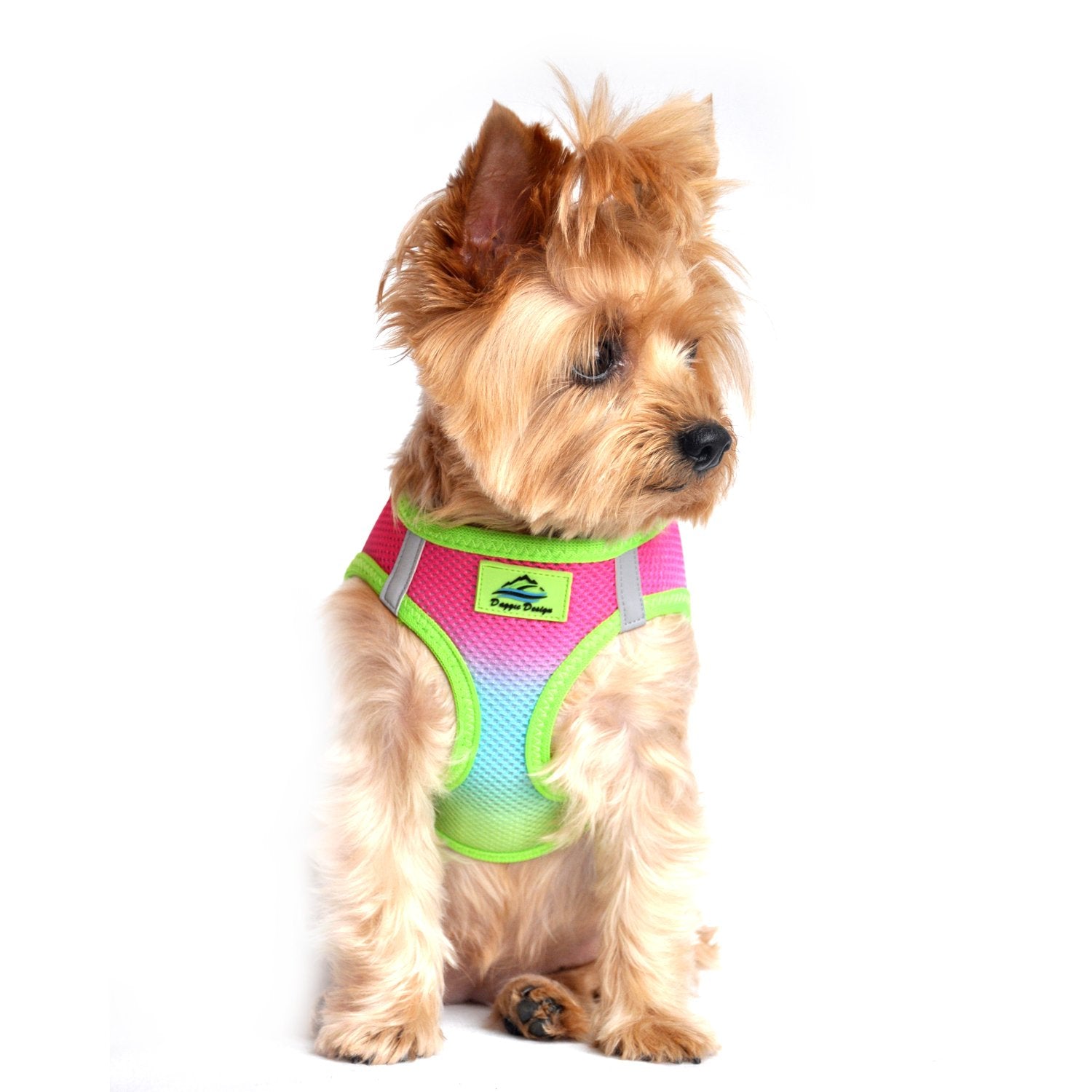 Doggie Design No Choke Dog Harness - Simple Step-In And Go Dog Vest For Small, Medium, And Large Breeds - Breathable Mesh Polyester Pet Harness - Rainbow - Xl
